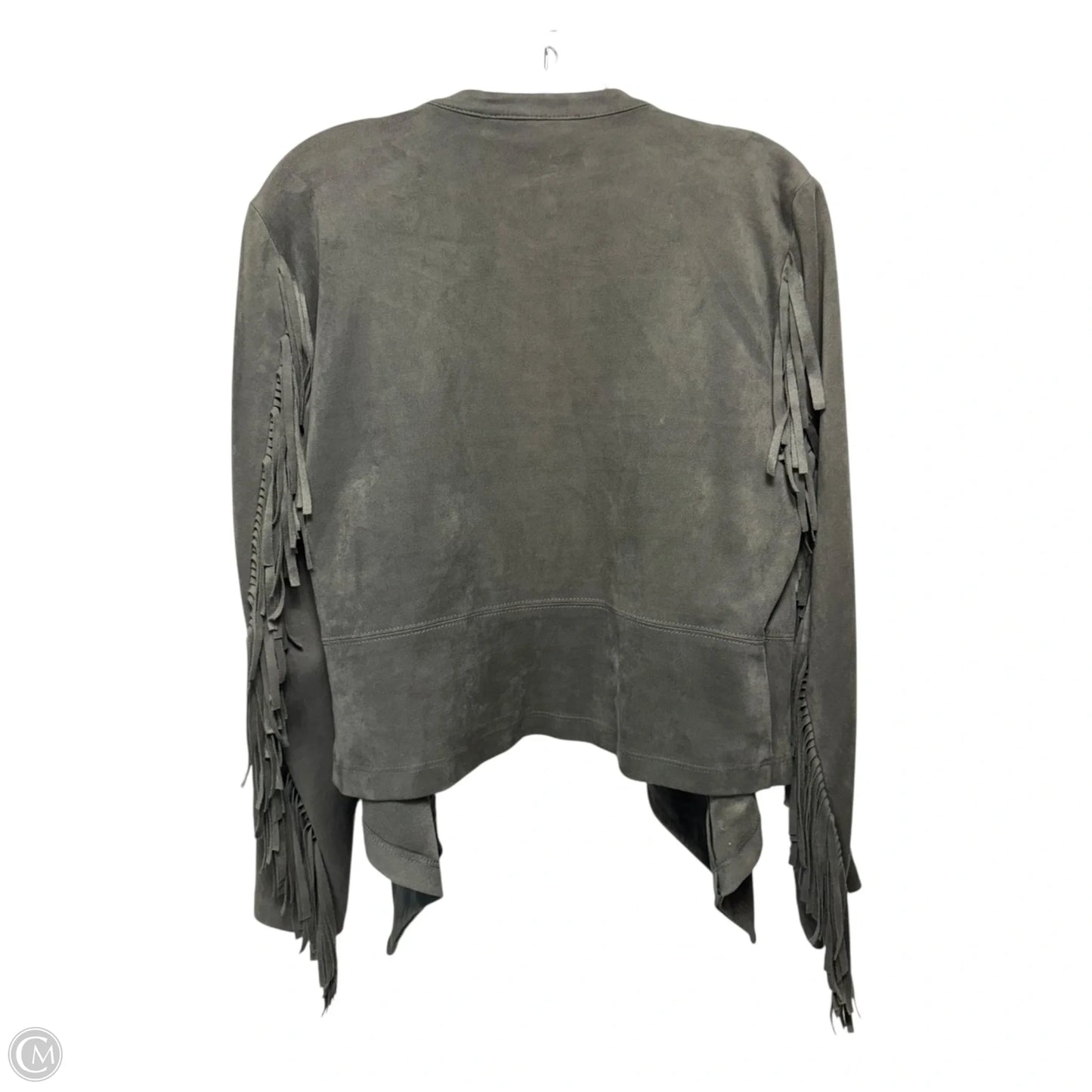 Fringe Sleeve Jacket By Karen Kane In Grey, Size: M