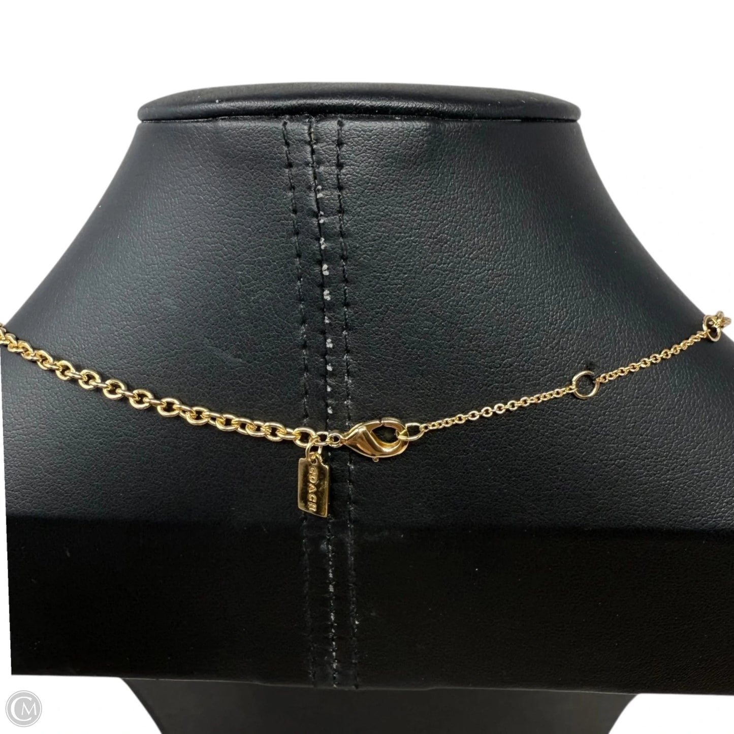 Signature Chain Link Choker Necklace Designer By Coach