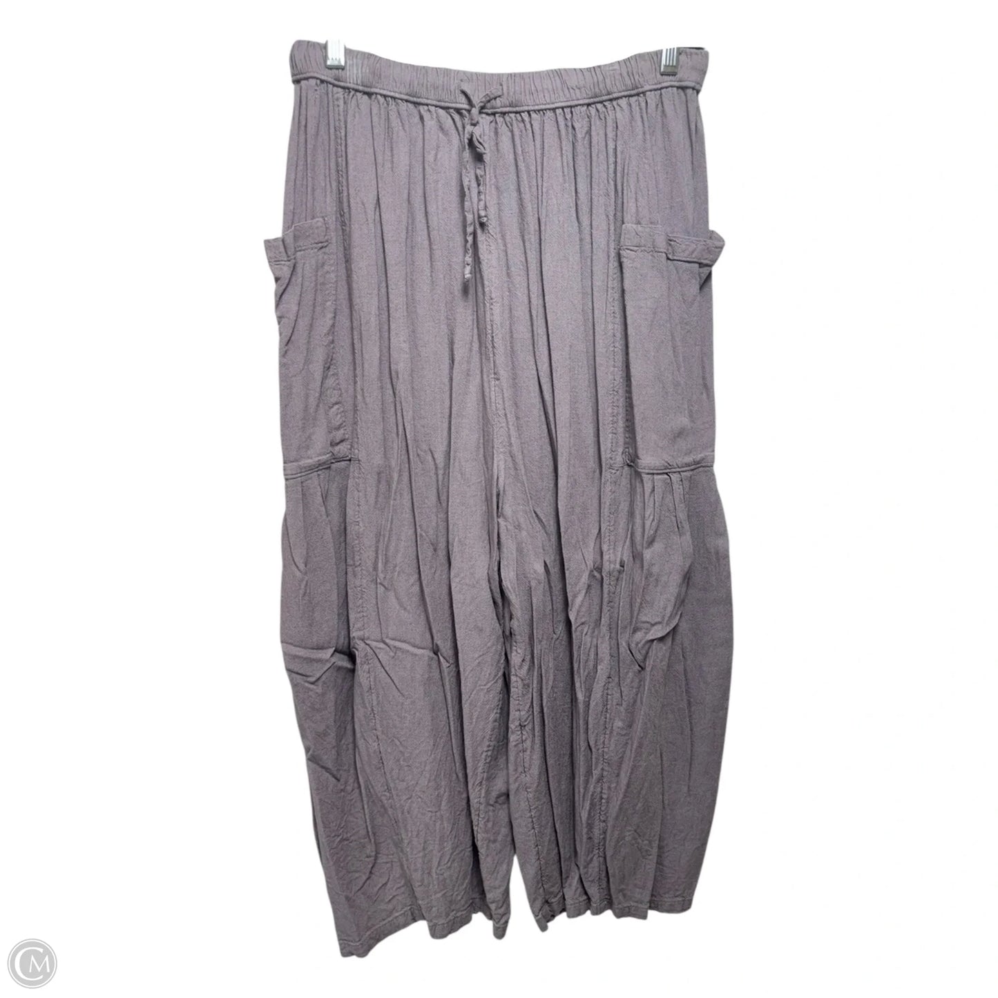 Pants Linen By Free People In Grey, Size: S