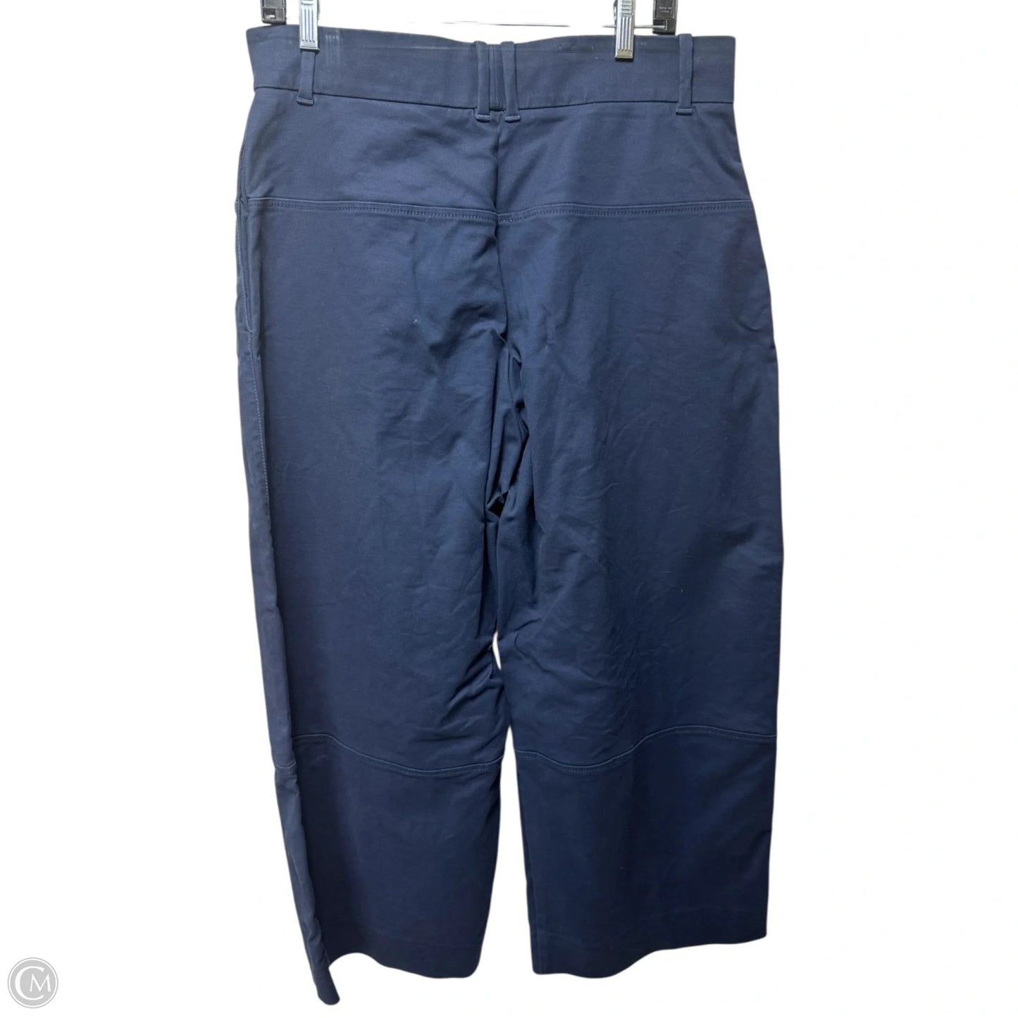 Pants Other By Everlane In Navy, Size: 14