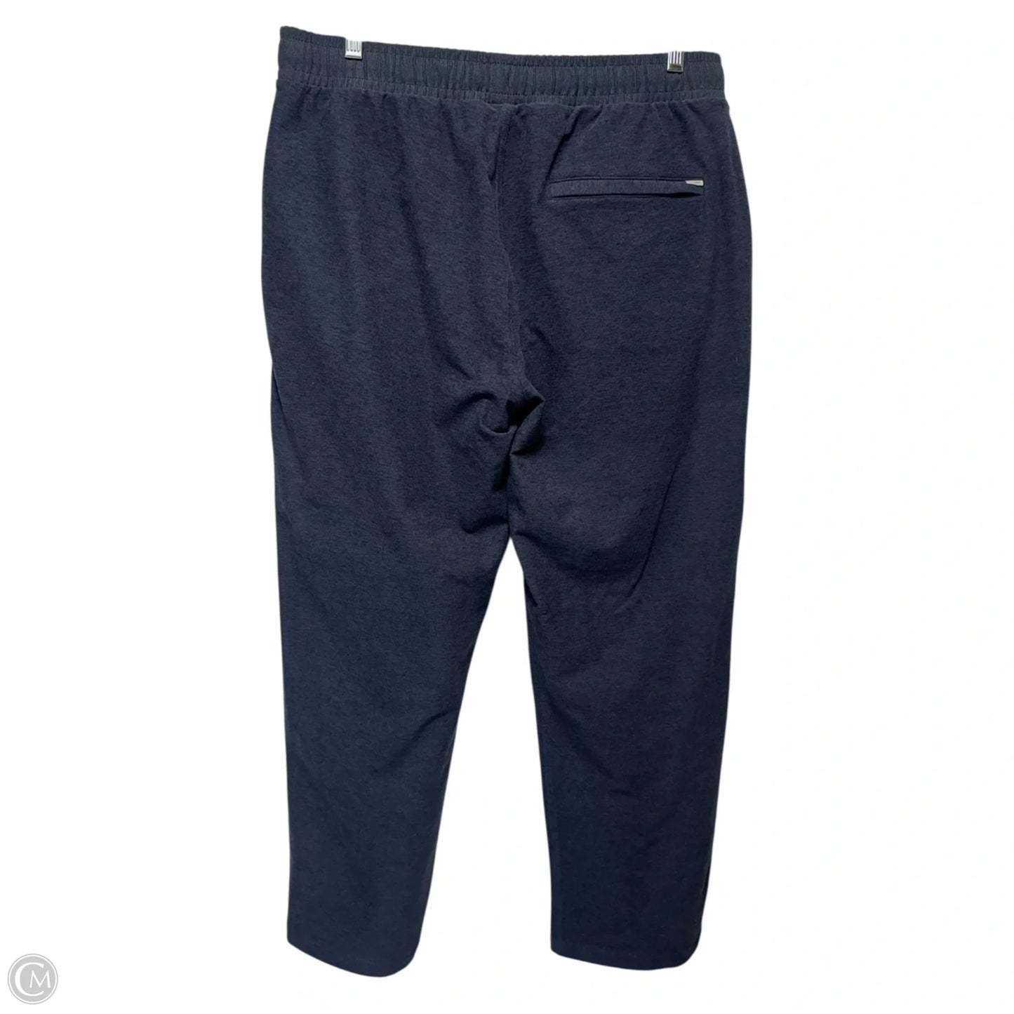 Athletic Pants By Vuori In Blue, Size: L