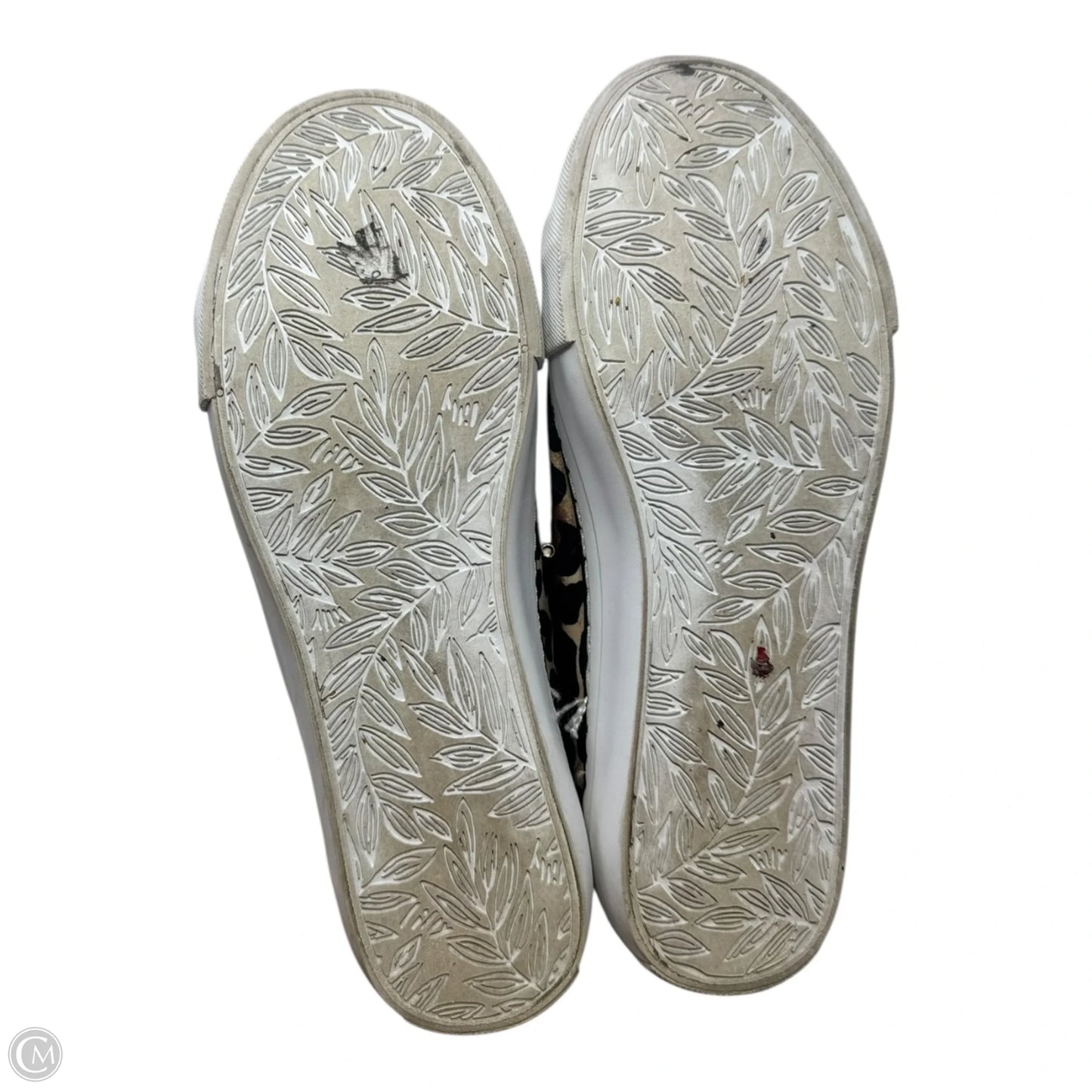 Lux Hallie Sneaker Designer By Lilly Pulitzer In Leopard Print, Size: 7.5