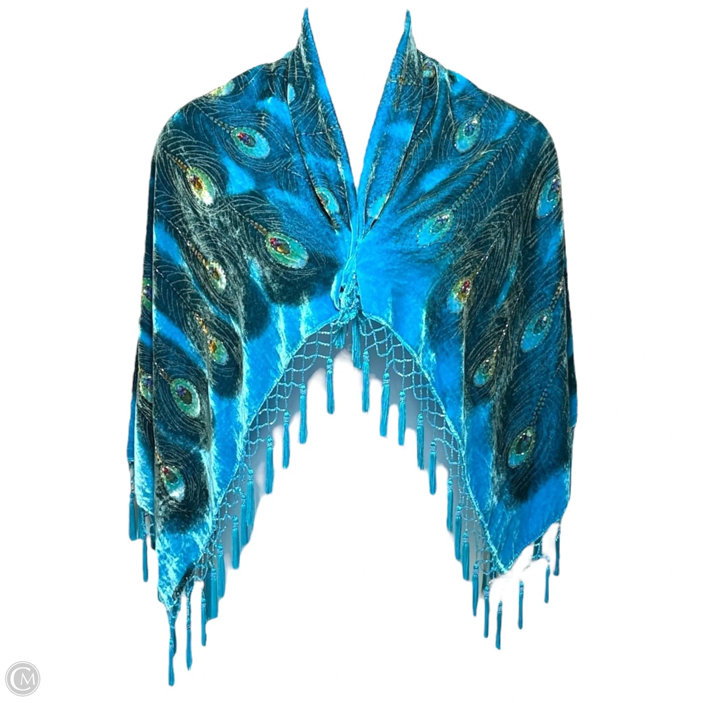 Burnout Velvet & Silk Beaded Shawl By Aris In Multi-colored