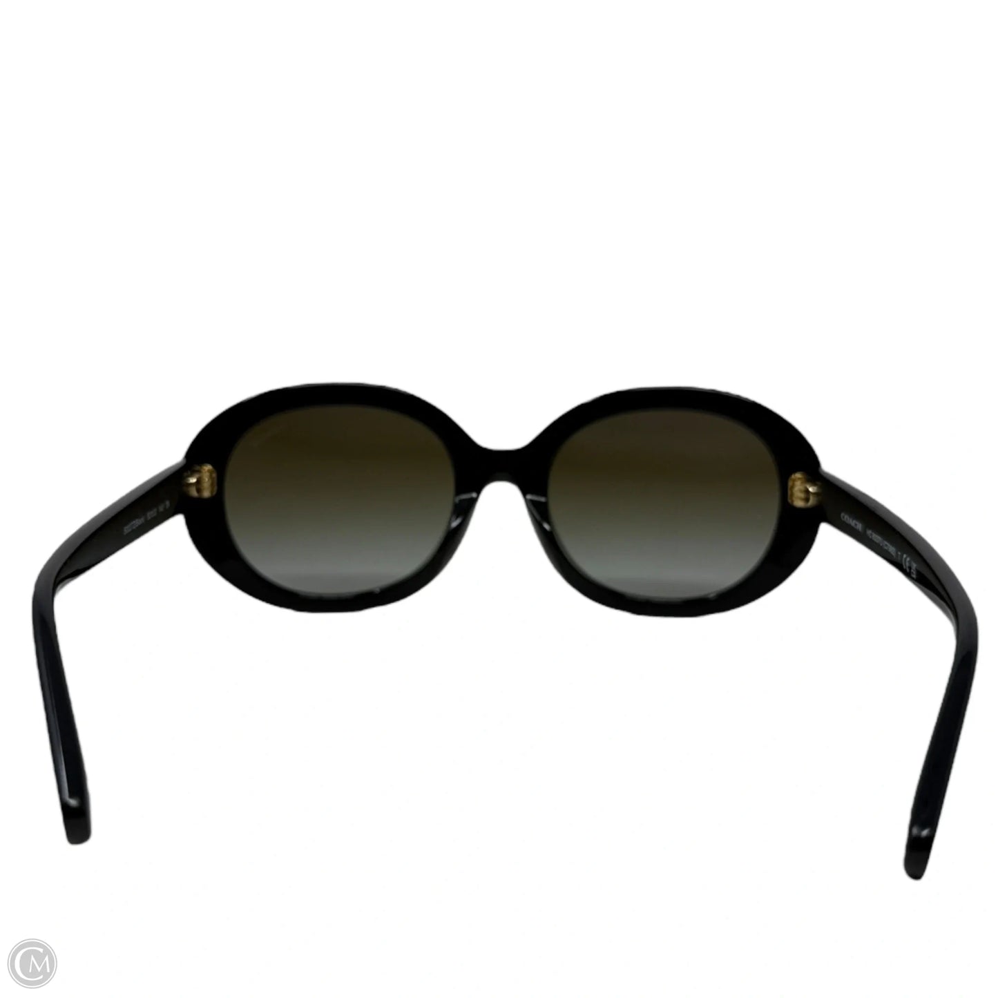HC8337U Oval Sunglasses Designer By Coach