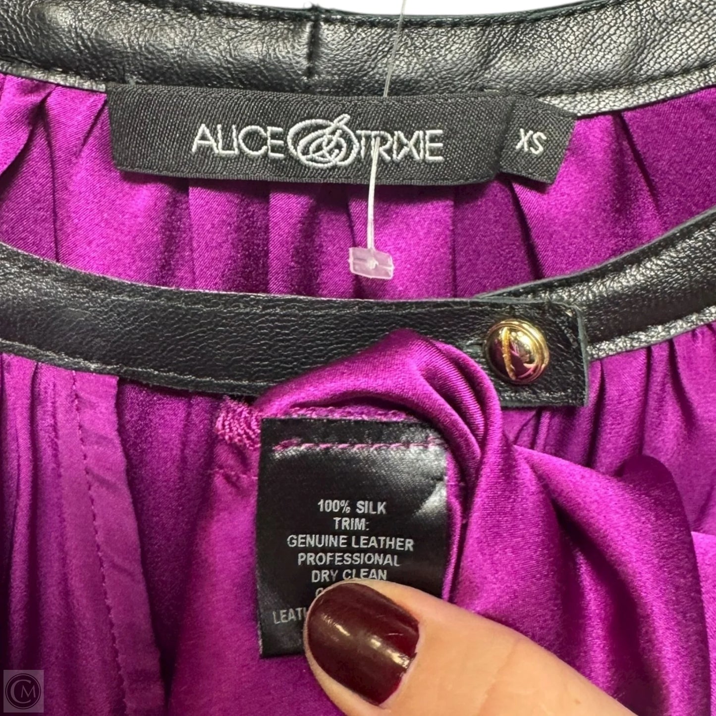 Silk & Leather Blouse Long Sleeve By Alice & Trixie In Purple, Size: Xs