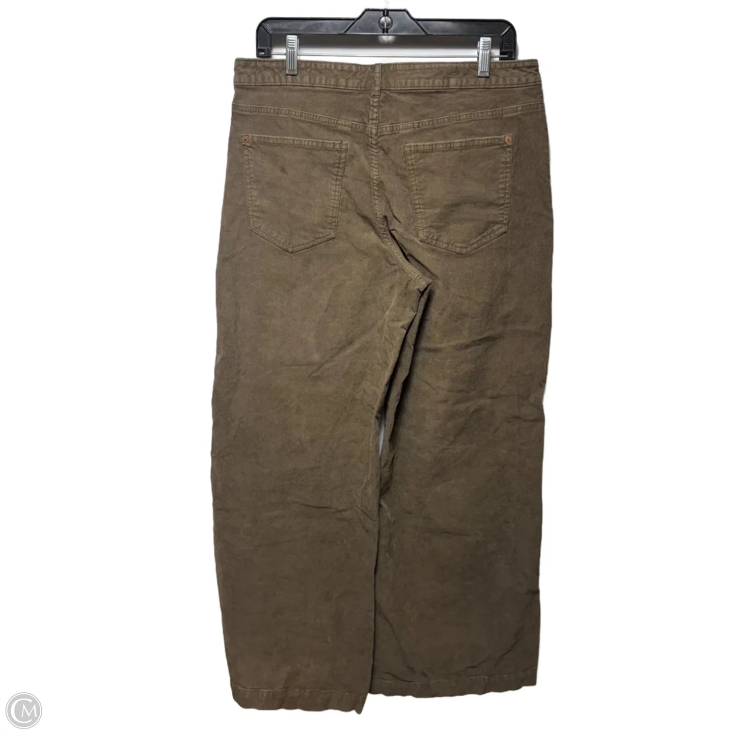 Pants Corduroy By Pilcro In Brown, Size: 12/31