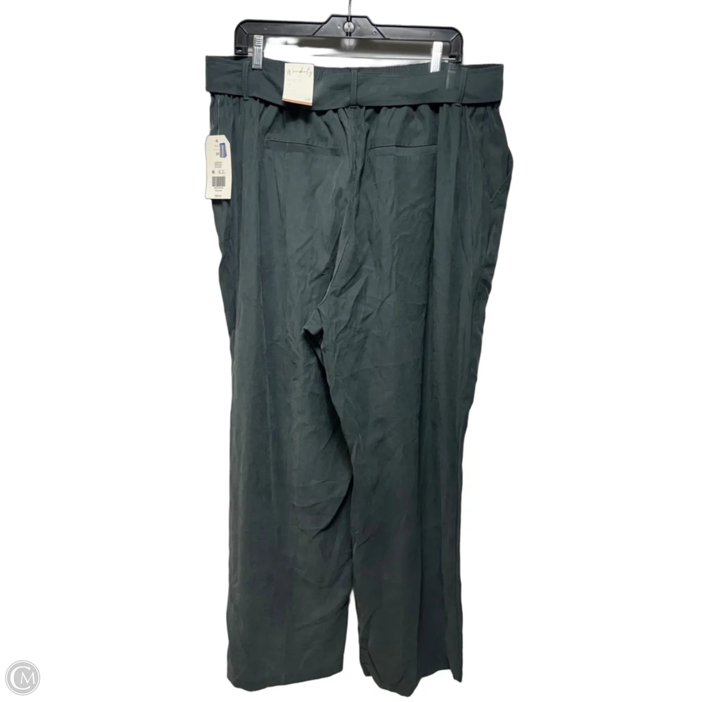 Belted Wide Leg Pants By Wonderly In Green, Size: 2x