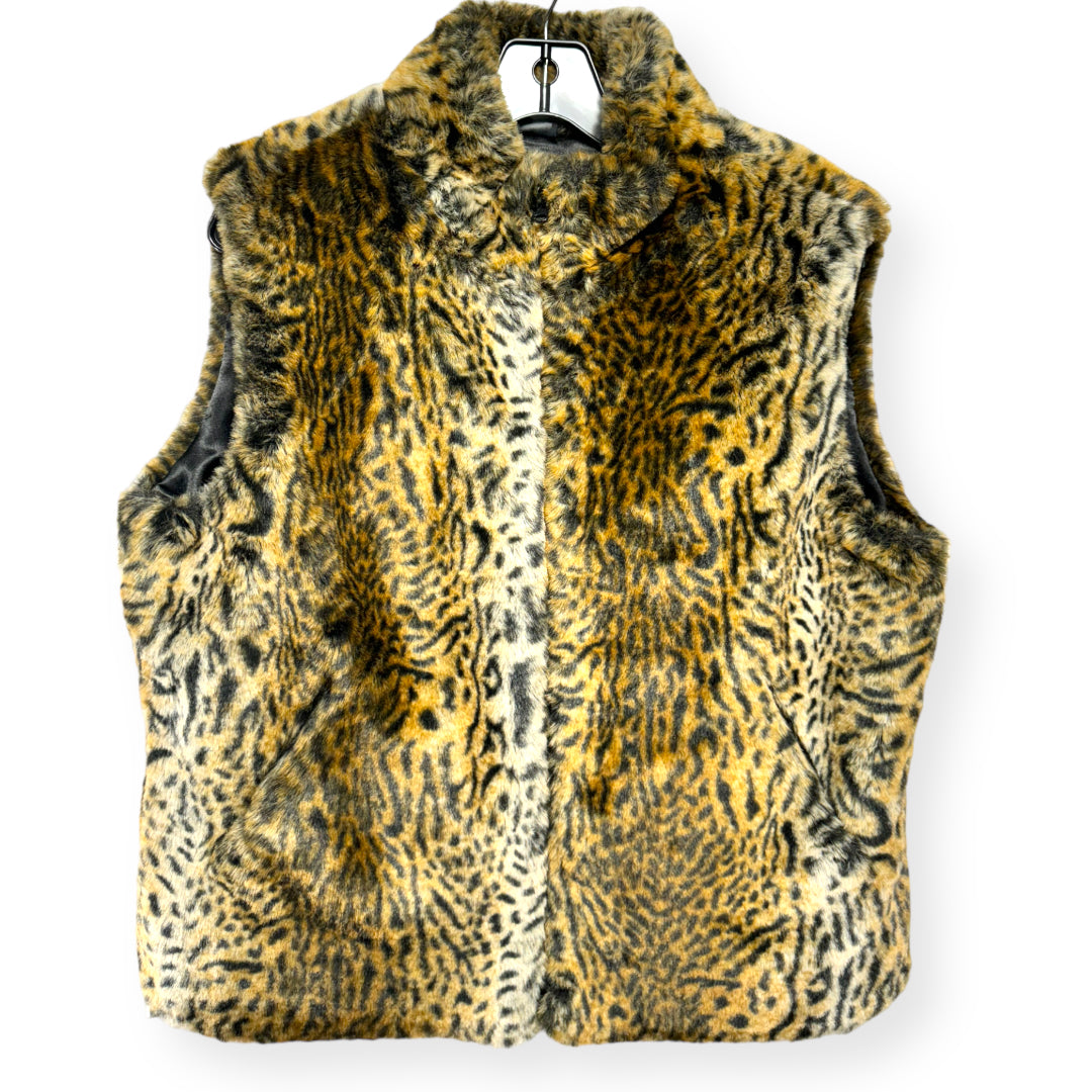 Cejon vest outlet