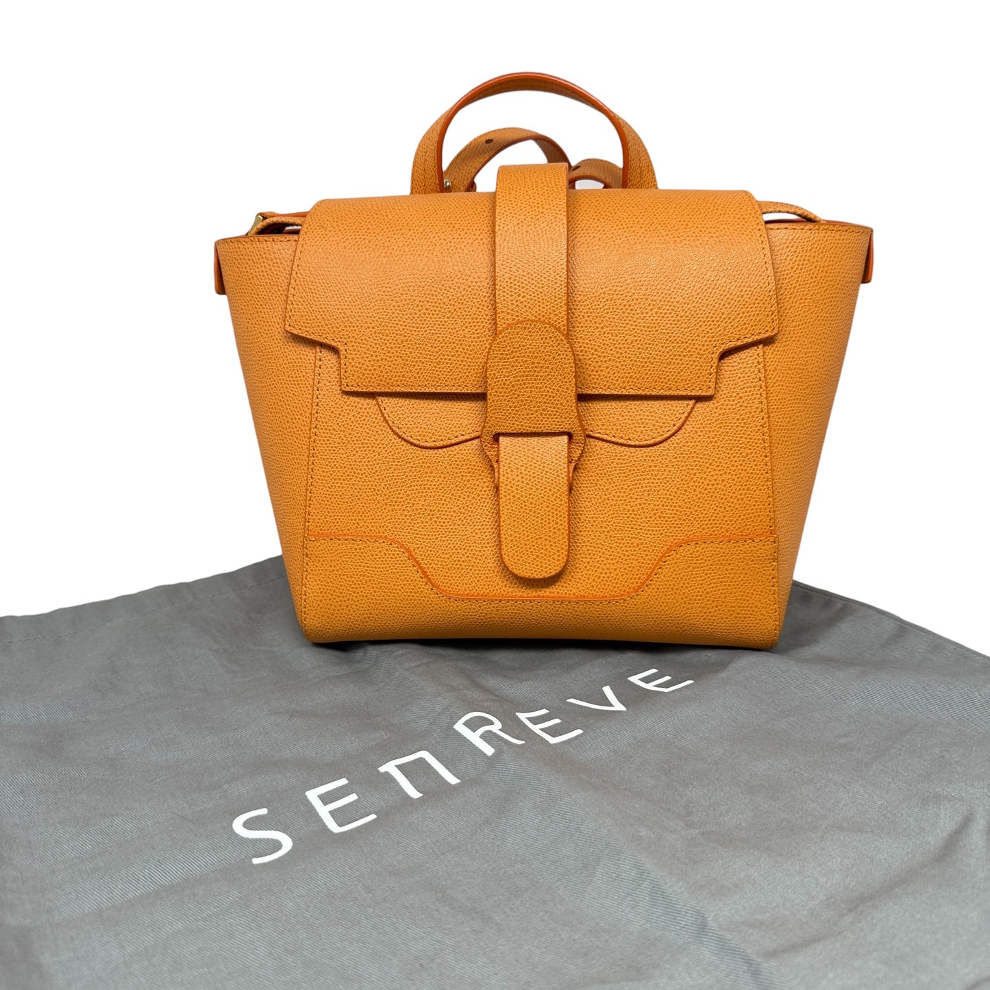 Mini Maestra Leather Satchel By Senreve, Size: Medium