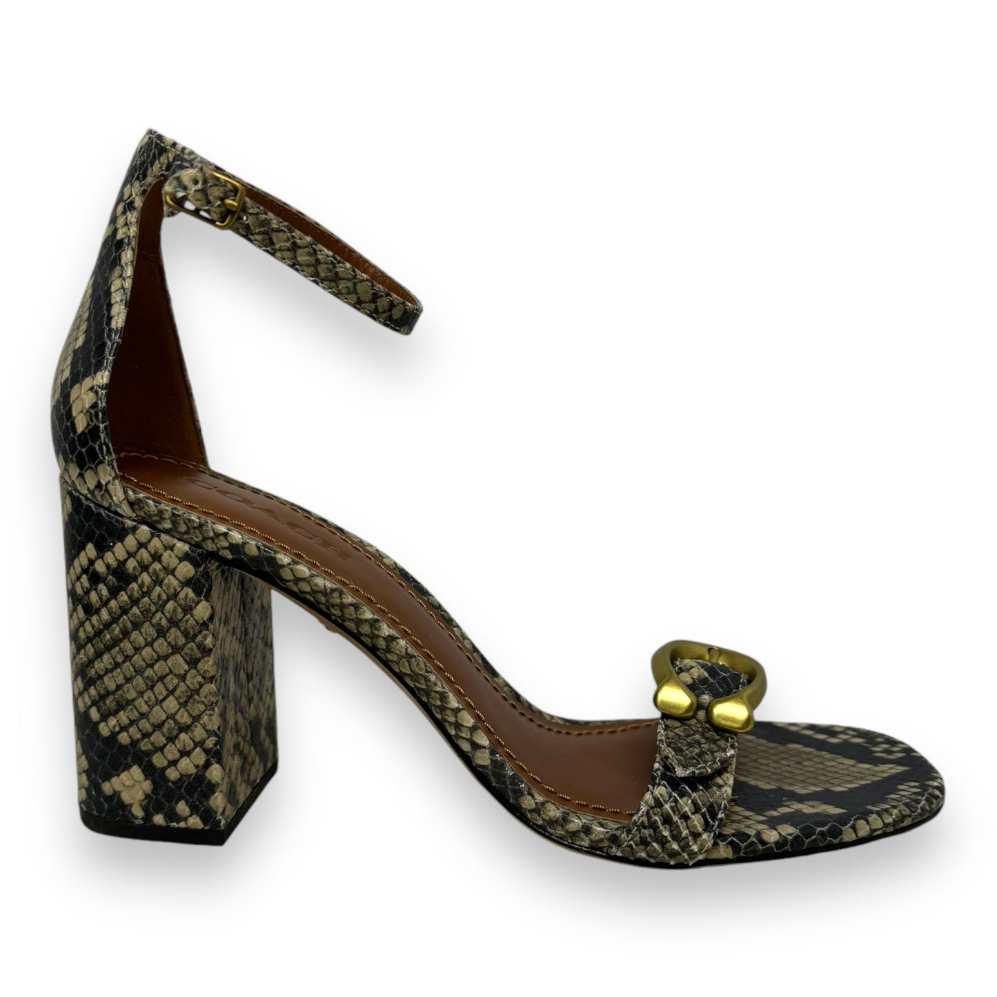 Maya 85 Signature Buckle Sandal Designer By Coach In Snakeskin Print, Size: 10