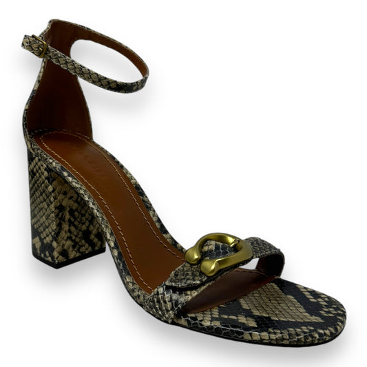 Maya 85 Signature Buckle Sandal Designer By Coach In Snakeskin Print, Size: 10