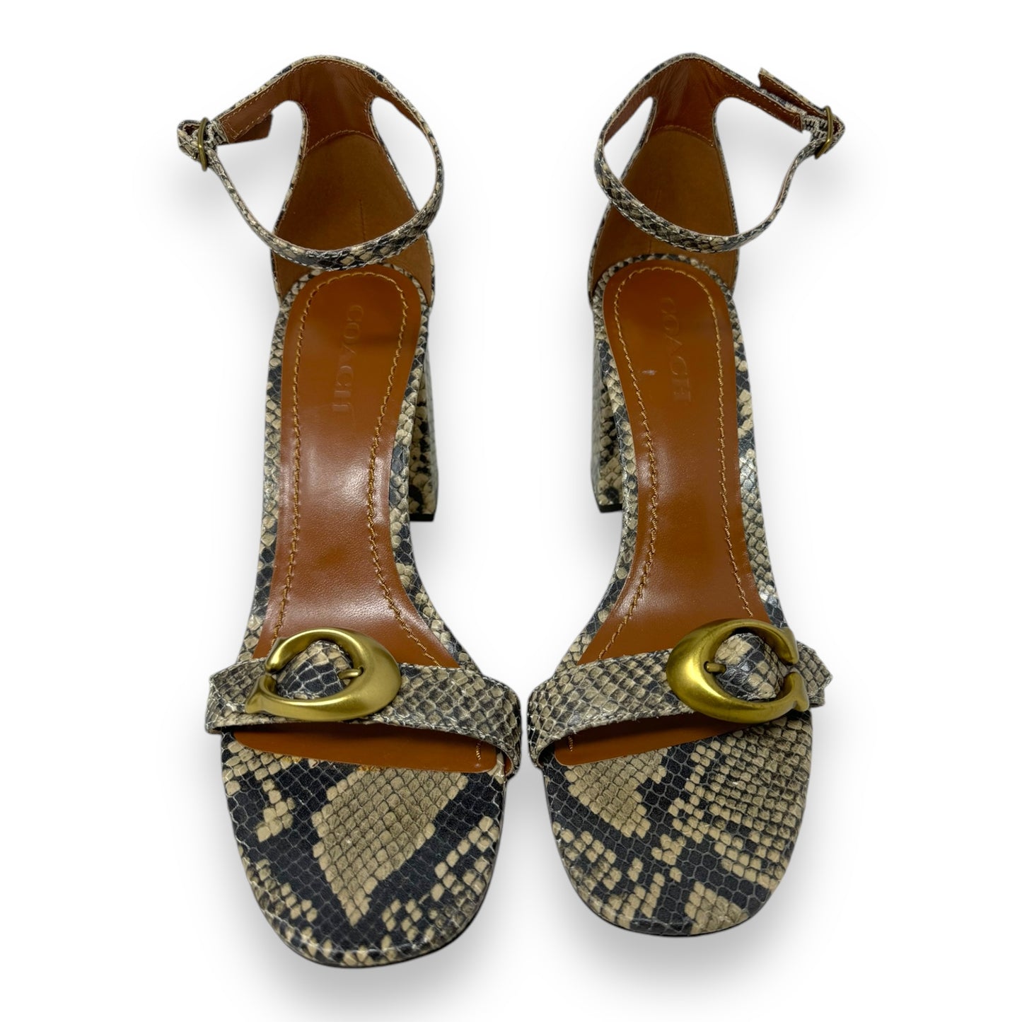 Maya 85 Signature Buckle Sandal Designer By Coach In Snakeskin Print, Size: 10