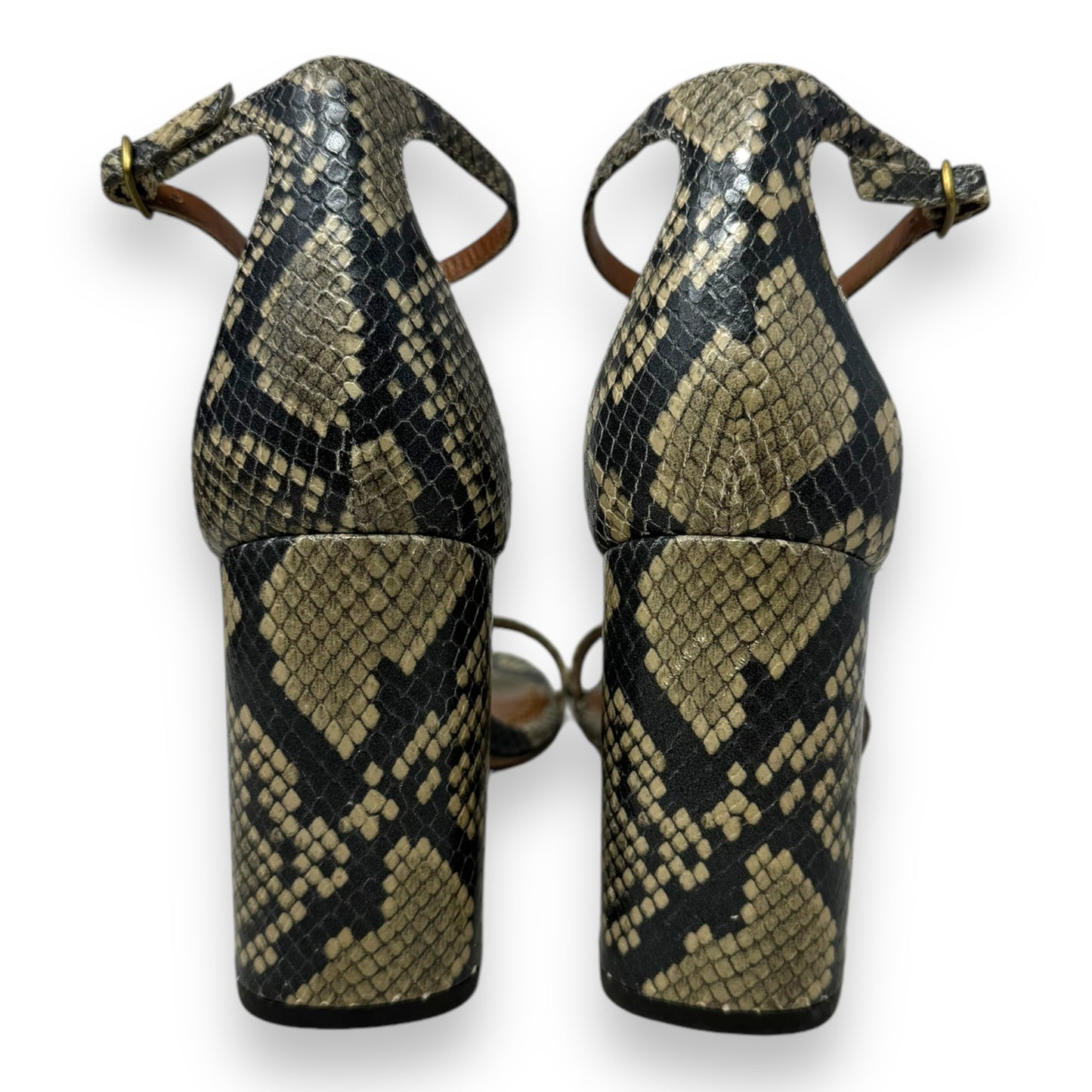 Maya 85 Signature Buckle Sandal Designer By Coach In Snakeskin Print, Size: 10