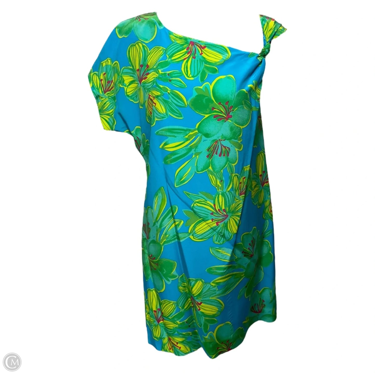 Scarlette Silk Dress Designer By Lilly Pulitzer In Printed Turquoise Leibold, Size: 4