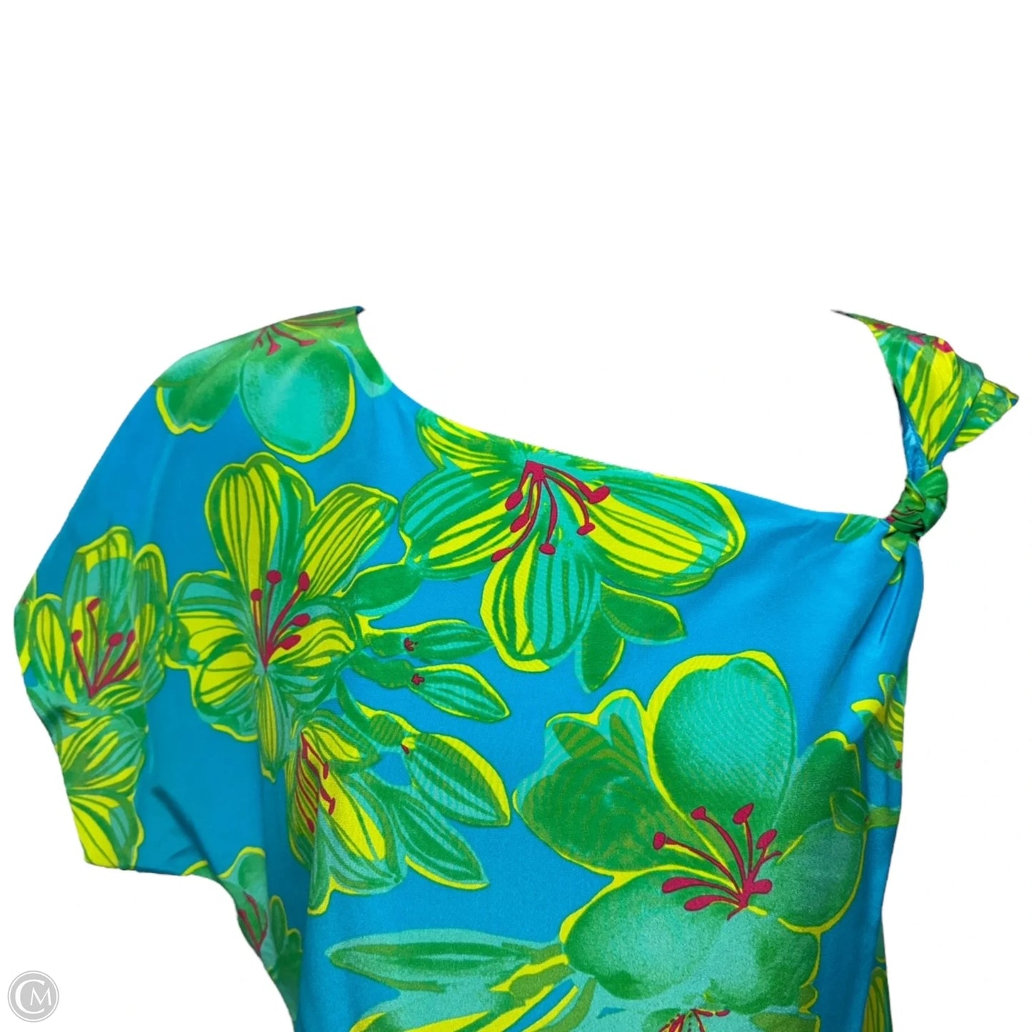 Scarlette Silk Dress Designer By Lilly Pulitzer In Printed Turquoise Leibold, Size: 4