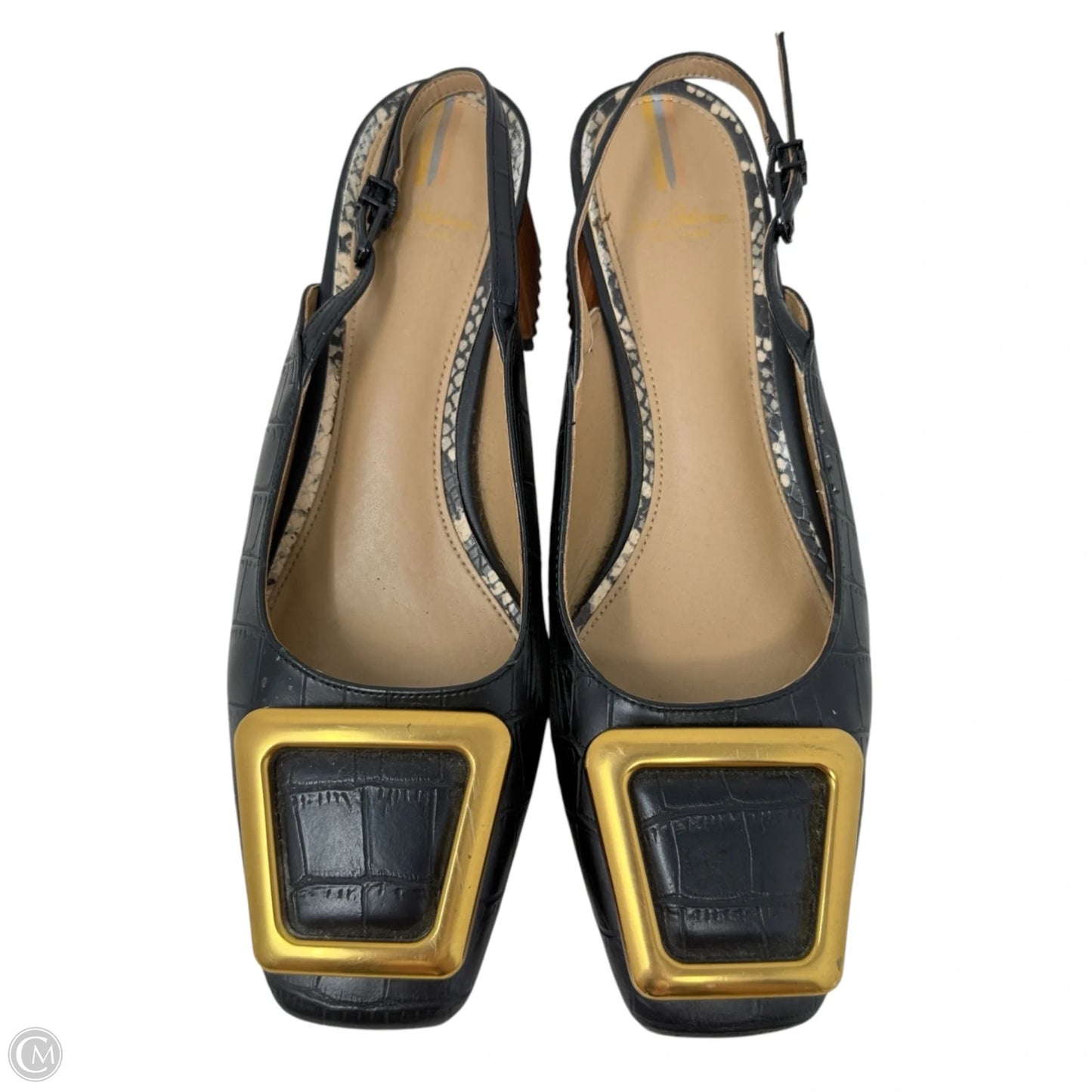 Tanessa Slingback Mules By Sam Edelman In Black, Size: 8.5