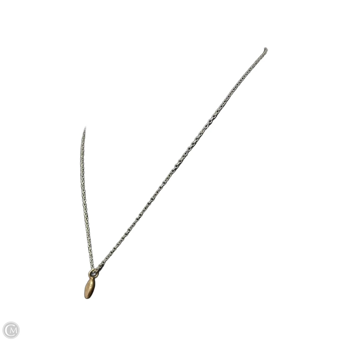 Coffee Bean on Sterling Chain  Necklace
