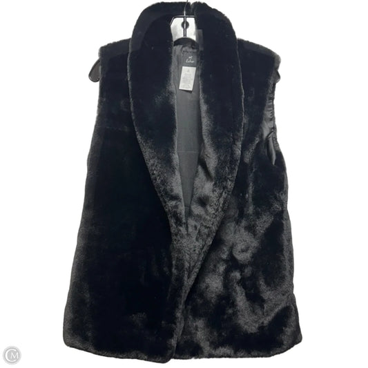 Vest Faux Fur & Sherpa By Echo In Black, Size: M