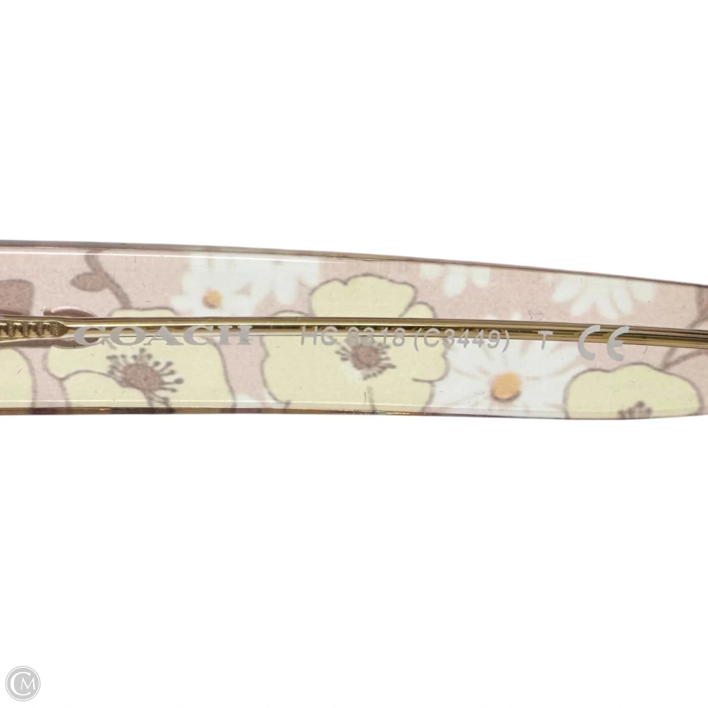 Legacy Stripe Square Sunglasses Designer By Coach