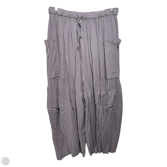 Pants Linen By Free People In Grey, Size: S