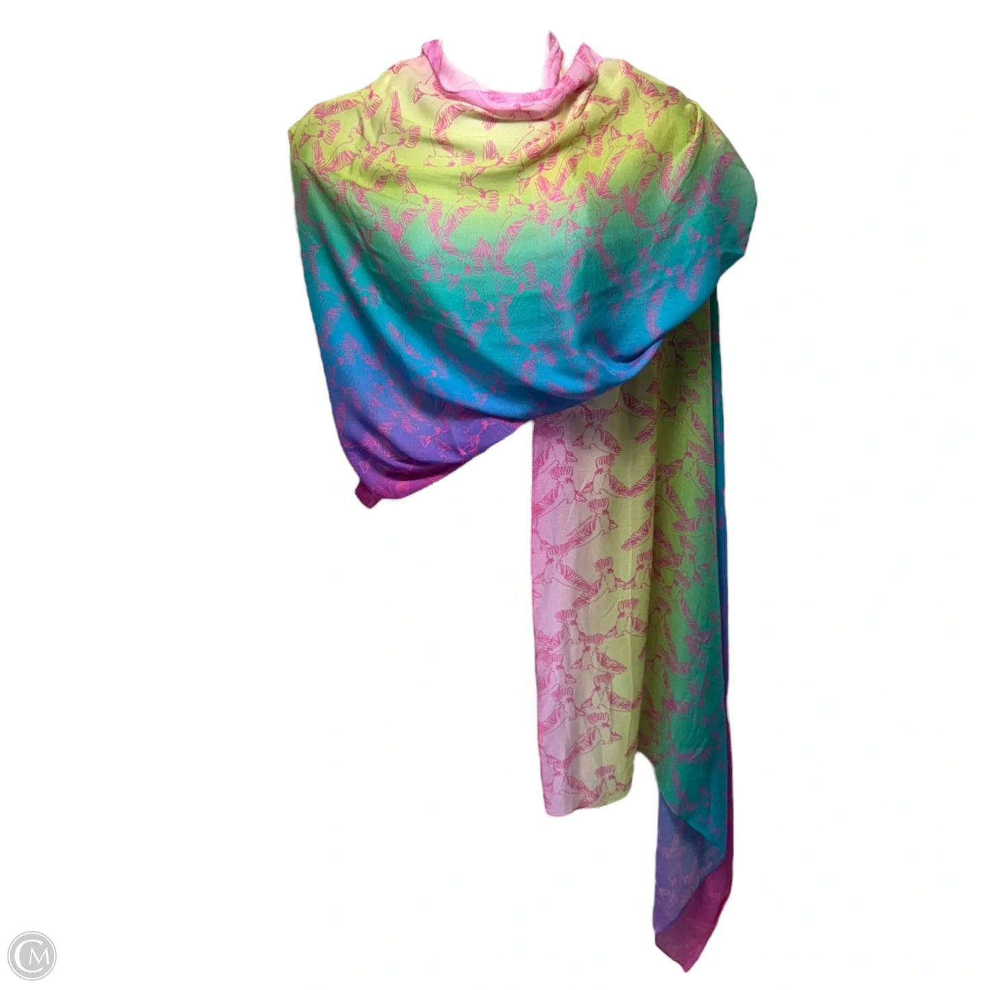 Pastel Rainbow Scarf Designer By Kurt Geiger