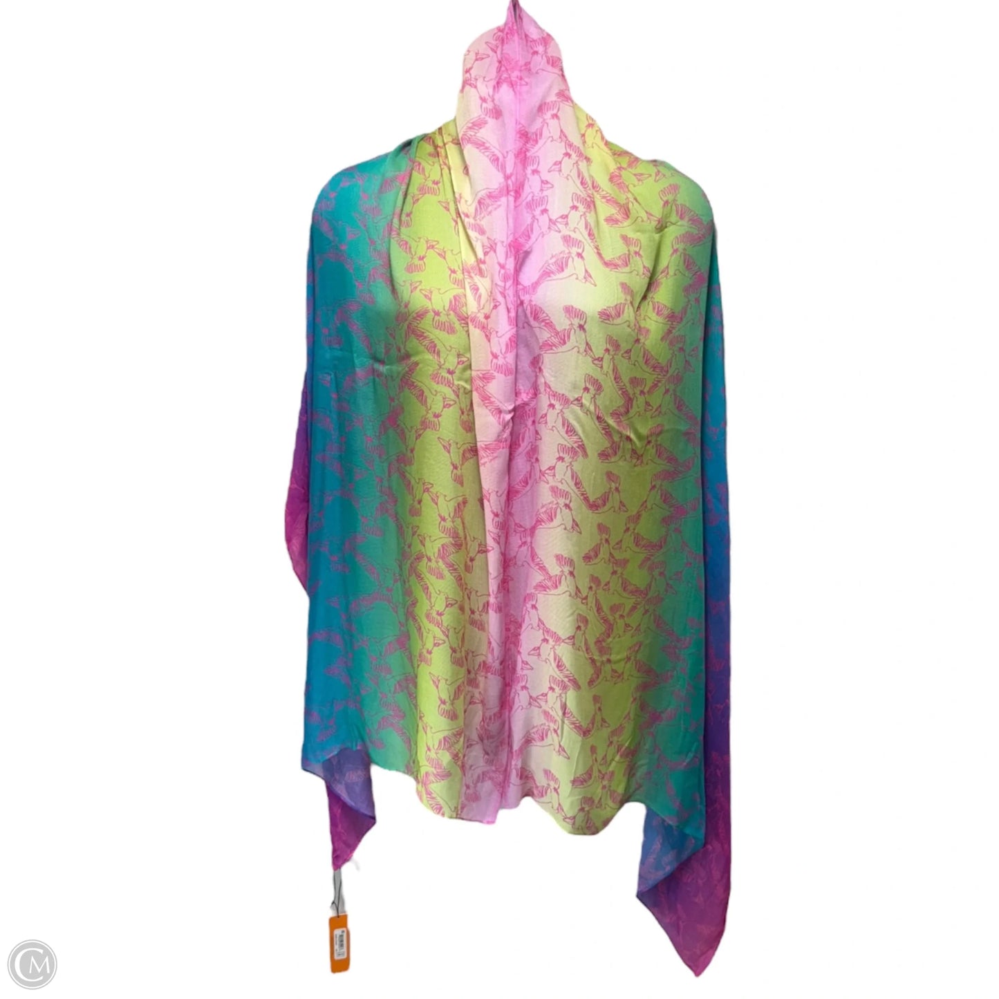 Pastel Rainbow Scarf Designer By Kurt Geiger