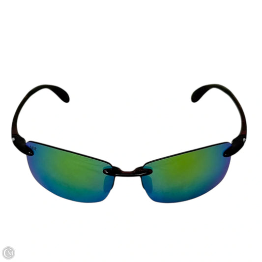 Ballast Sunglasses By Costa