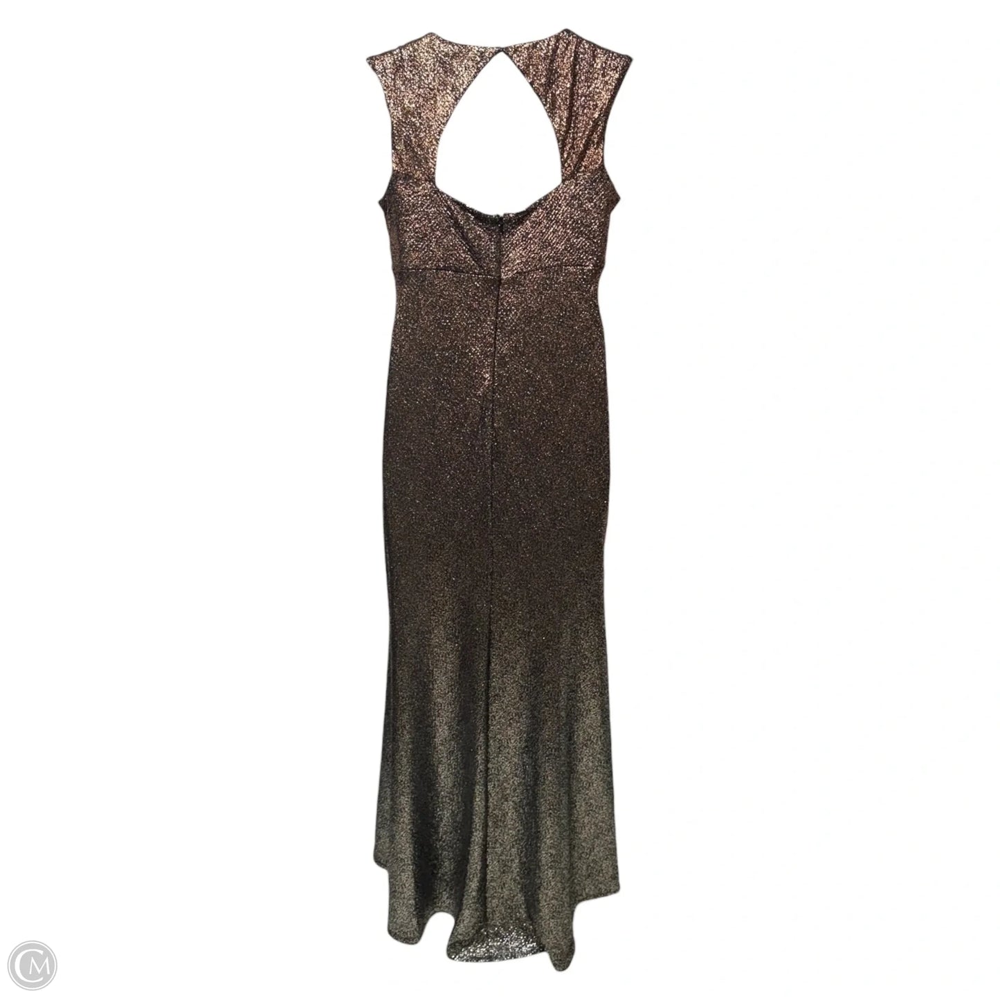 Dress Party Long By R & M Richards In Bronze, Size: 8p