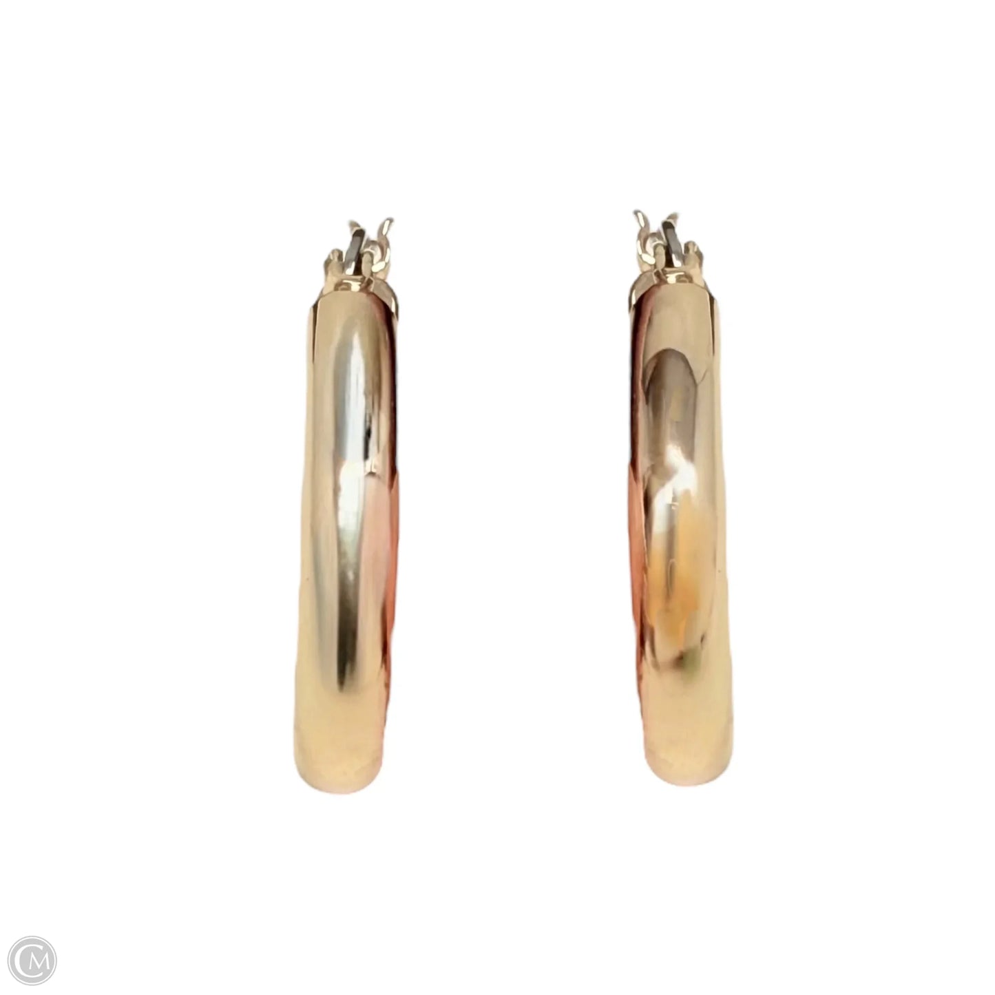Gold Tone Hoop Earrings By Unbranded