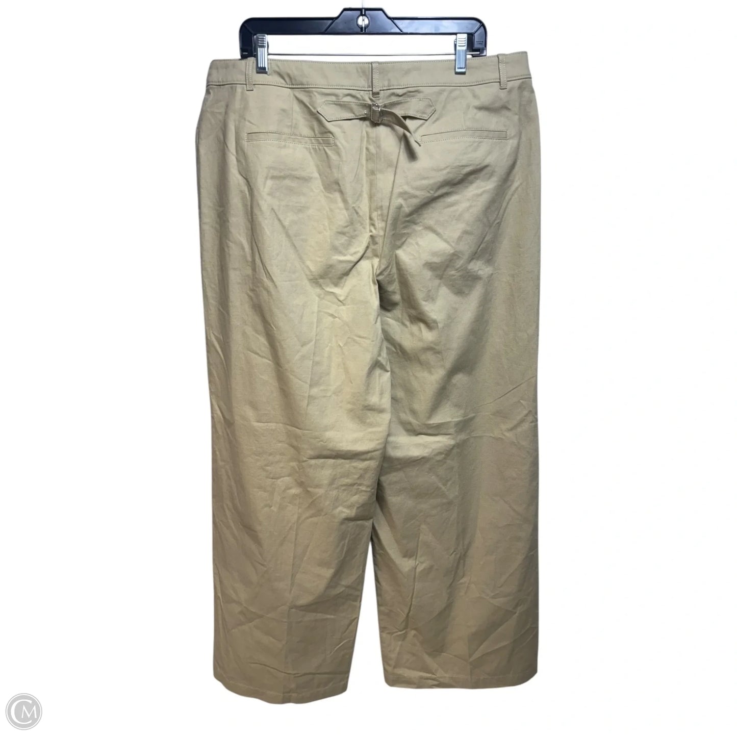 Pants Other By J. Crew In Tan, Size: 16