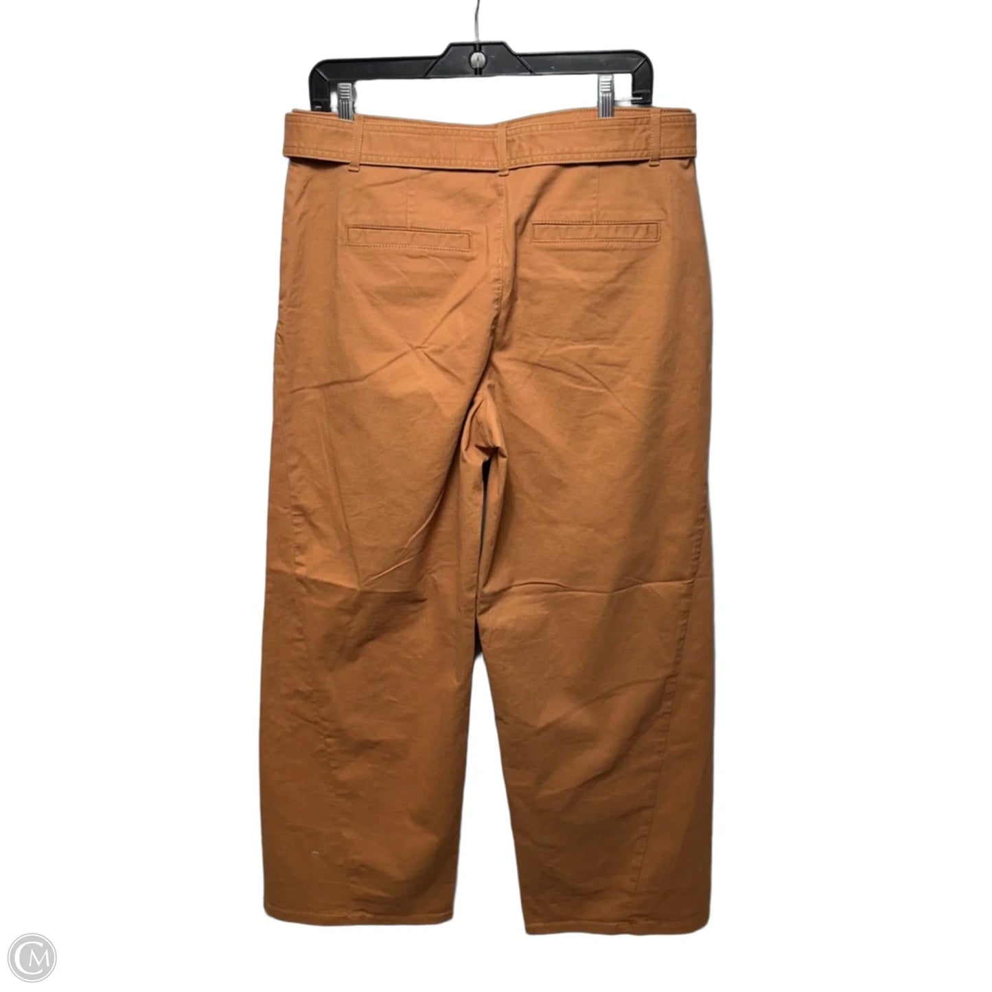 Pants Wide Leg By Loft In Brown, Size: 10