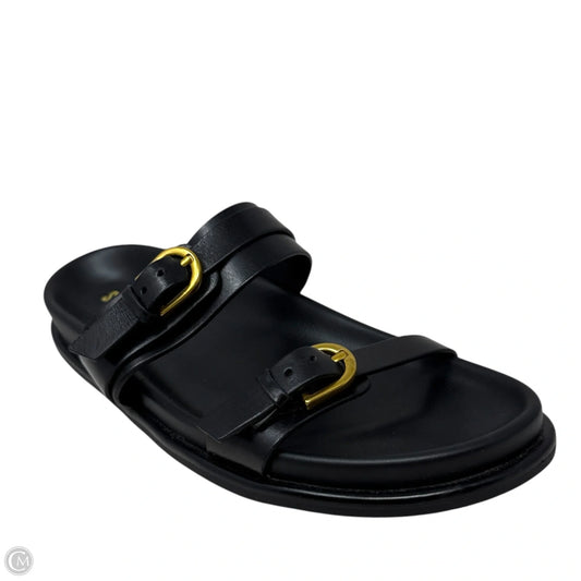 Zina Slide Sandals By Steve Madden In Black, Size: 8.5