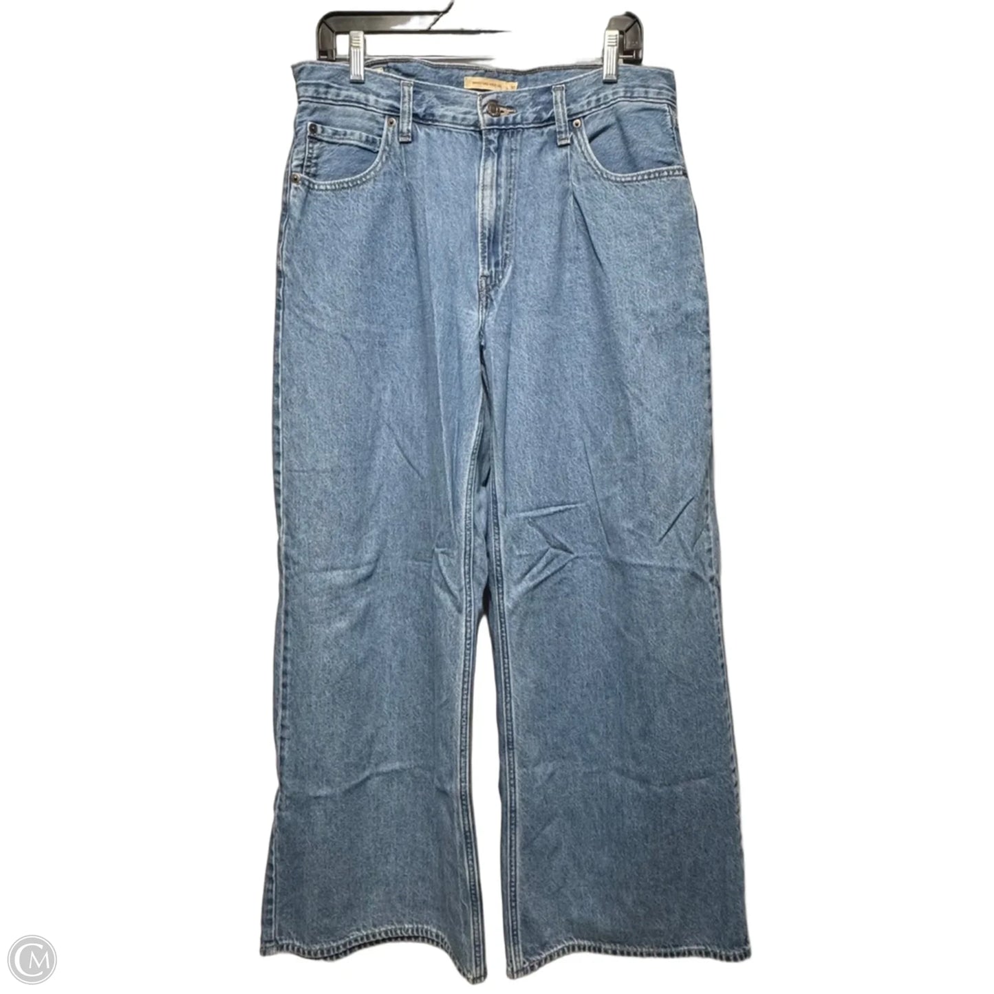 Baggy Pleated Dad Jeans Wide Leg By Levis In Blue Denim, Size: 10