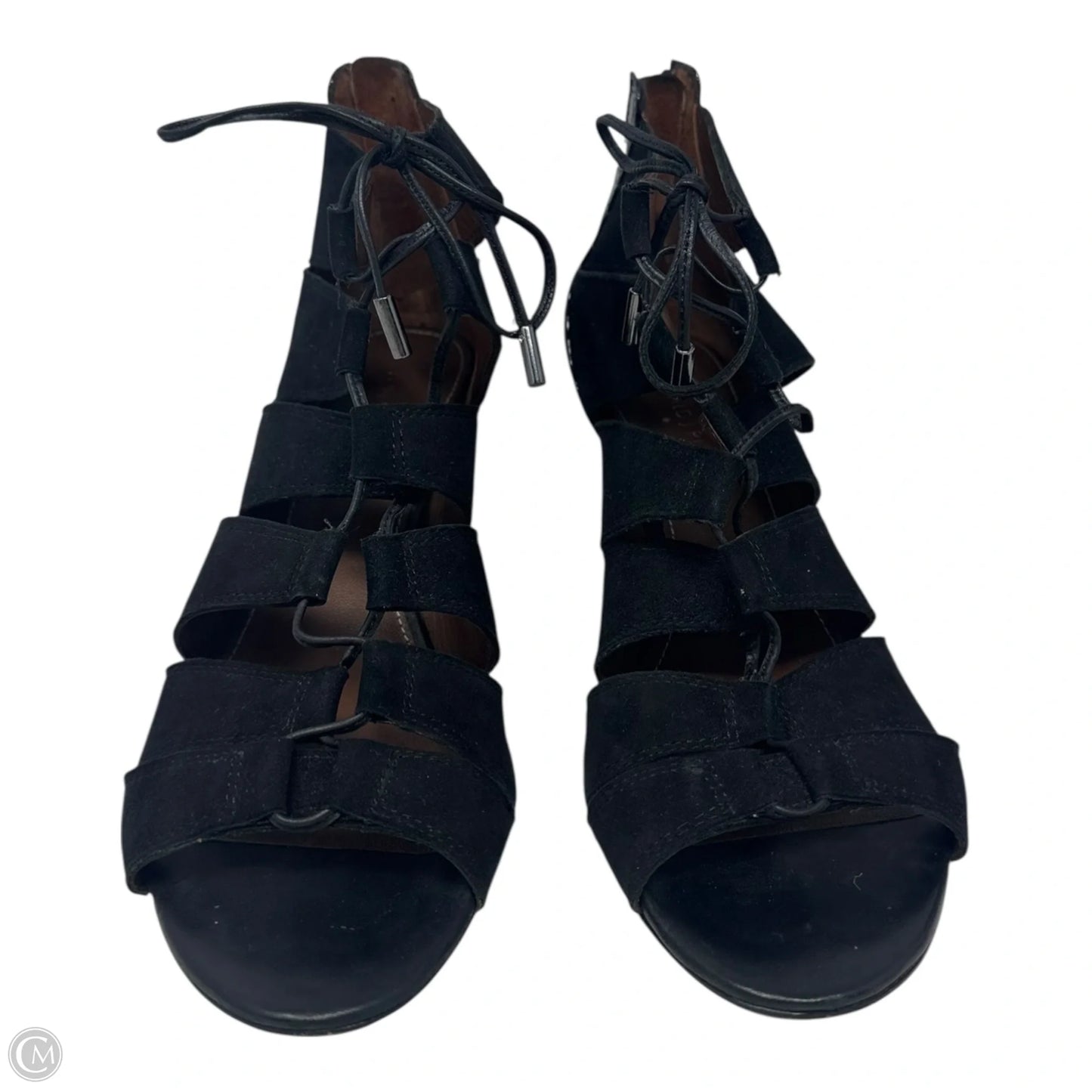 Jeisa Tie Up Wedge Boots Ankle Heels By Donald Pliner In Black, Size: 8.5