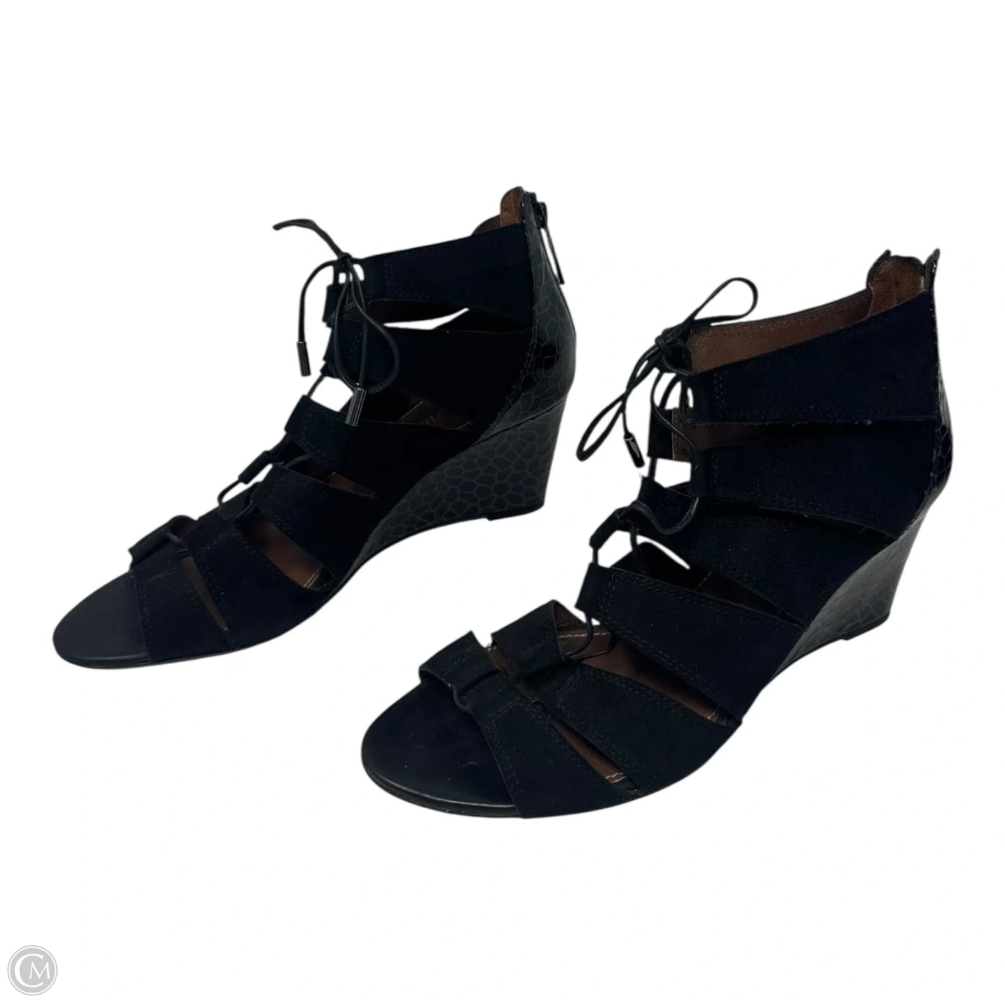 Jeisa Tie Up Wedge Boots Ankle Heels By Donald Pliner In Black, Size: 8.5