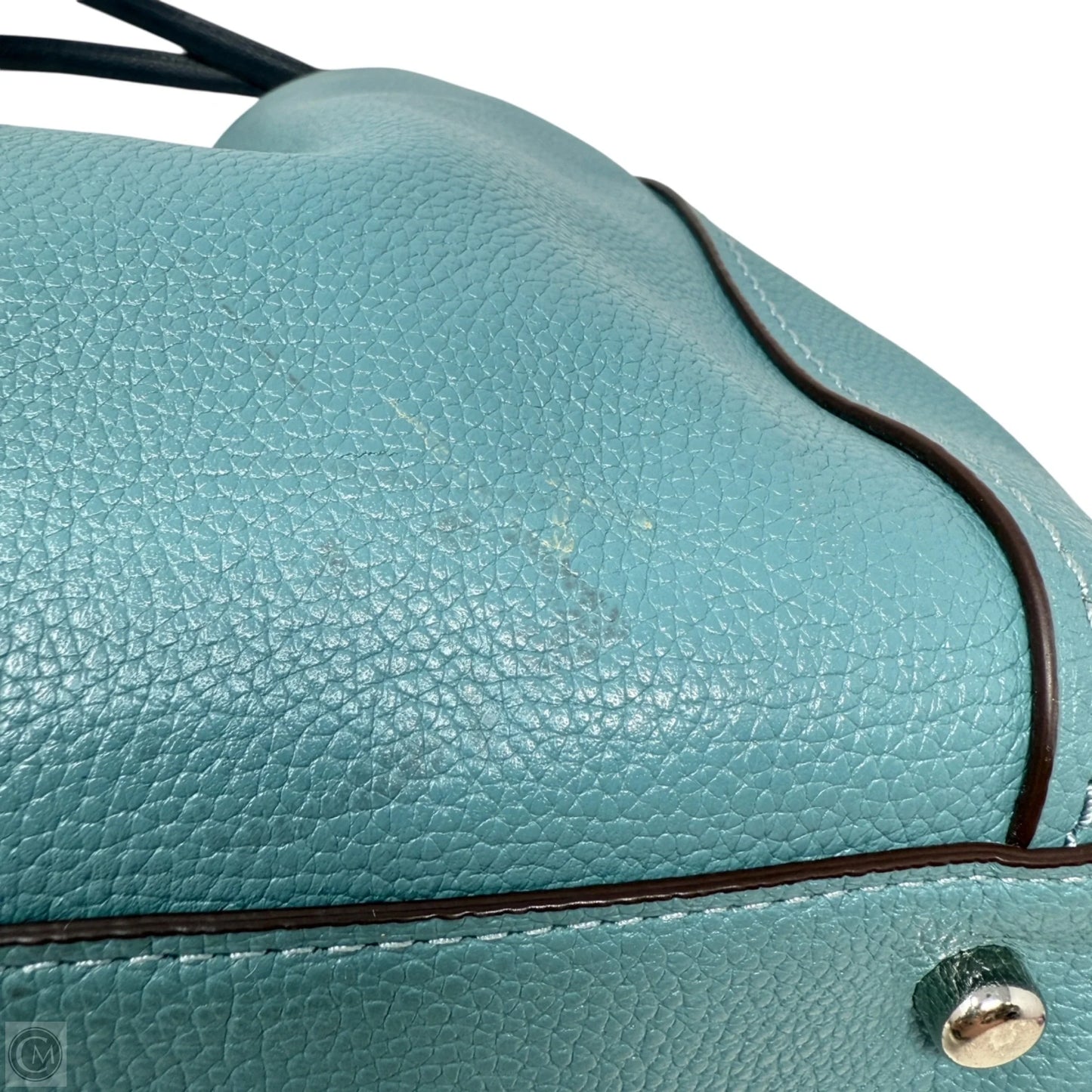 Edie Shoulder Bag 31 in Polished Pebble Leather Designer By Coach, Size: Medium