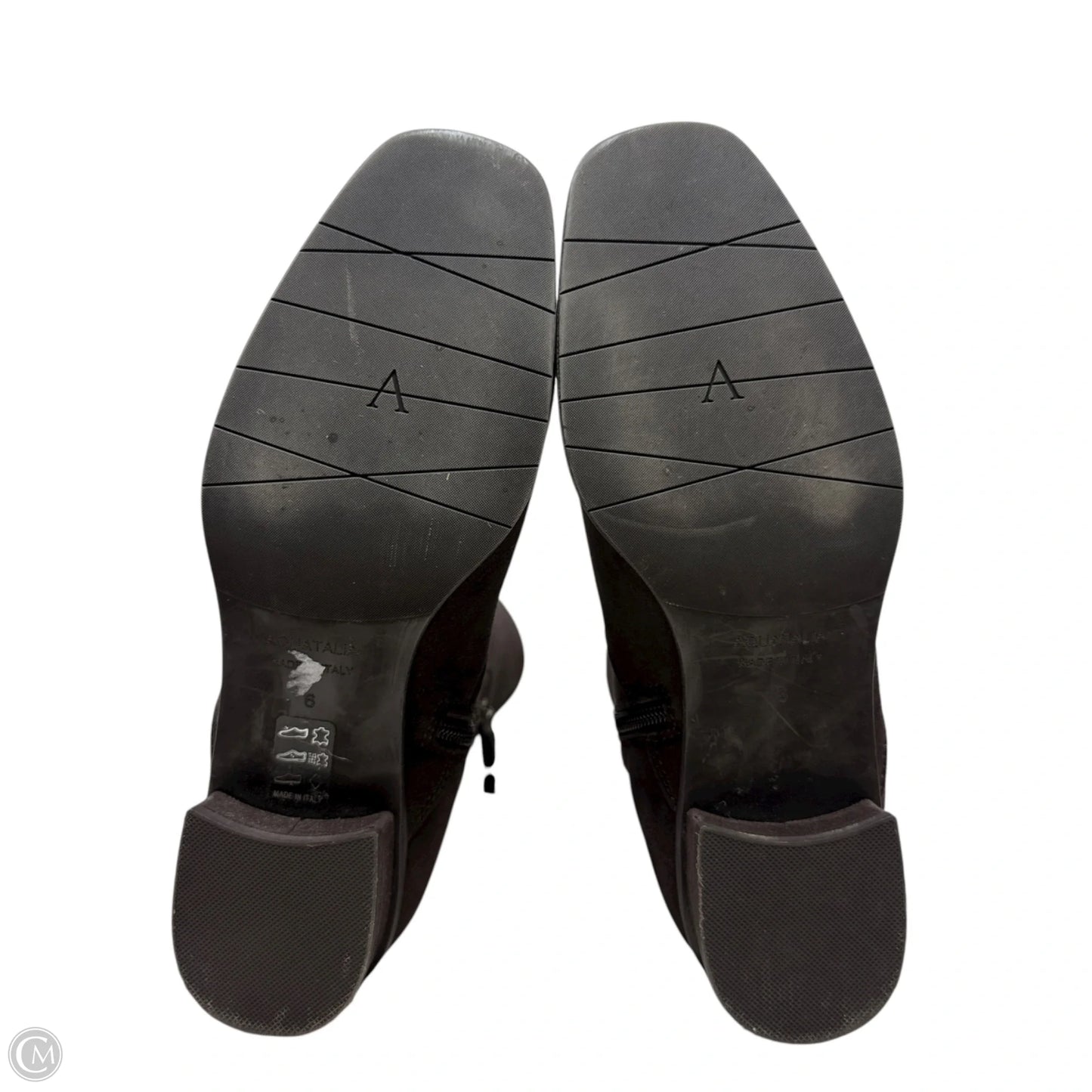 Knee High Suede Boots By Aquatalia In Espresso, Size: 6