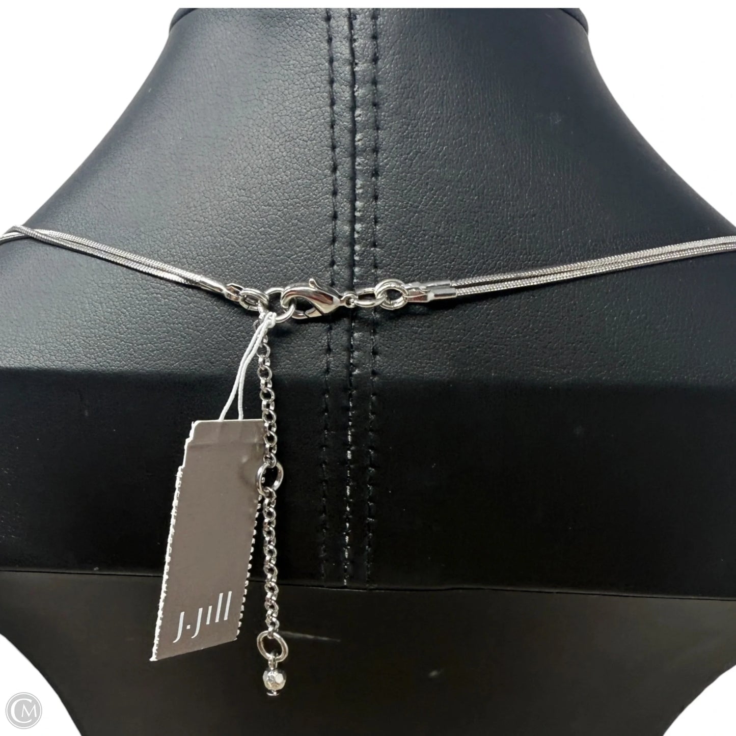 Silver Tone Layered Circle Pendant Necklace By J. Jill