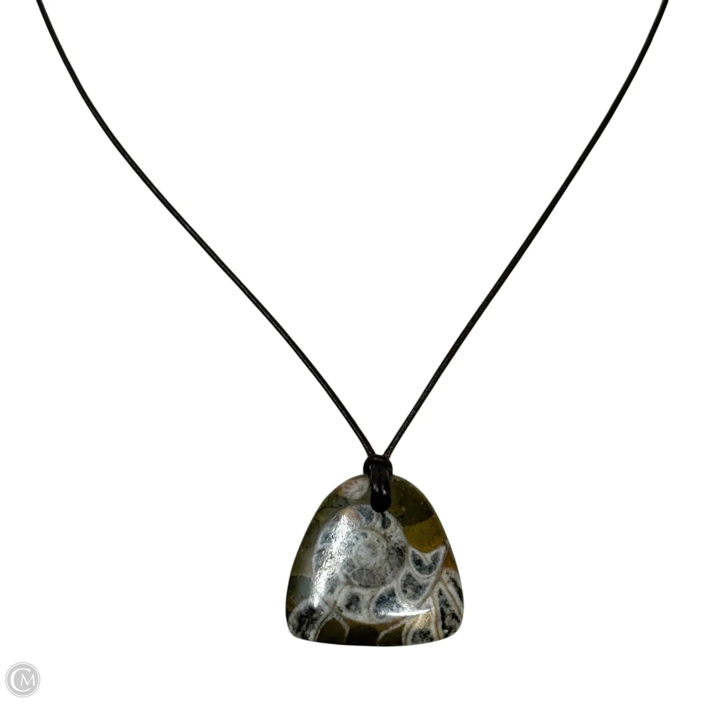 Fossil Pendant Necklace With Sterling Silver Clasp