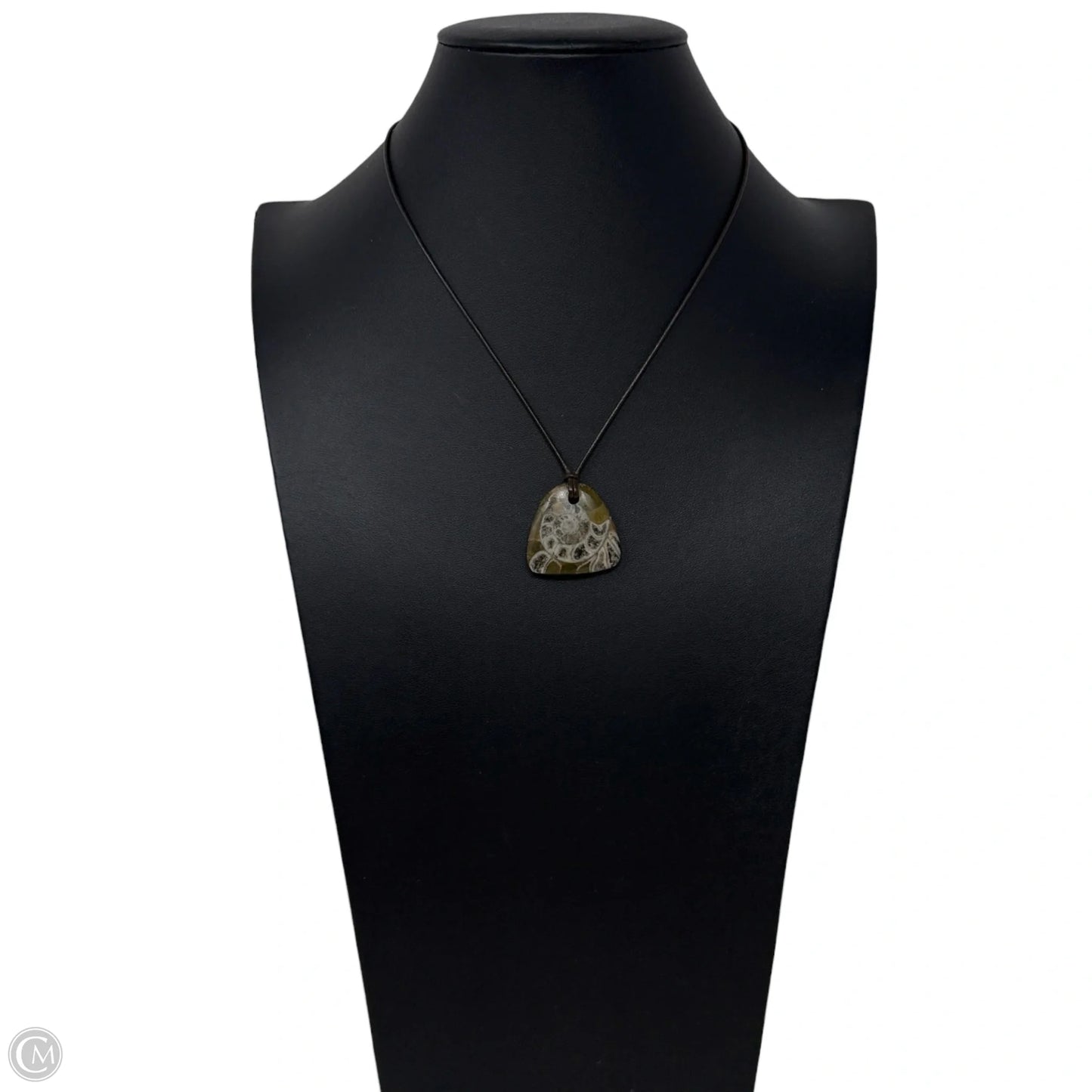 Fossil Pendant Necklace With Sterling Silver Clasp