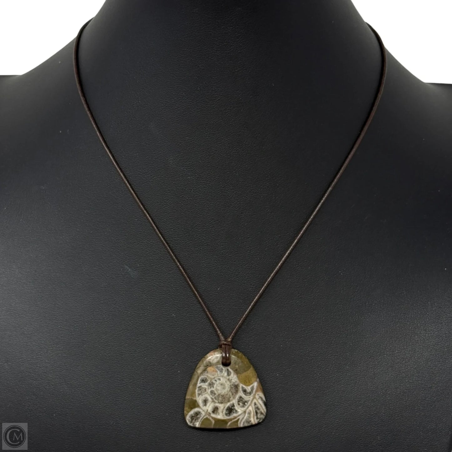 Fossil Pendant Necklace With Sterling Silver Clasp