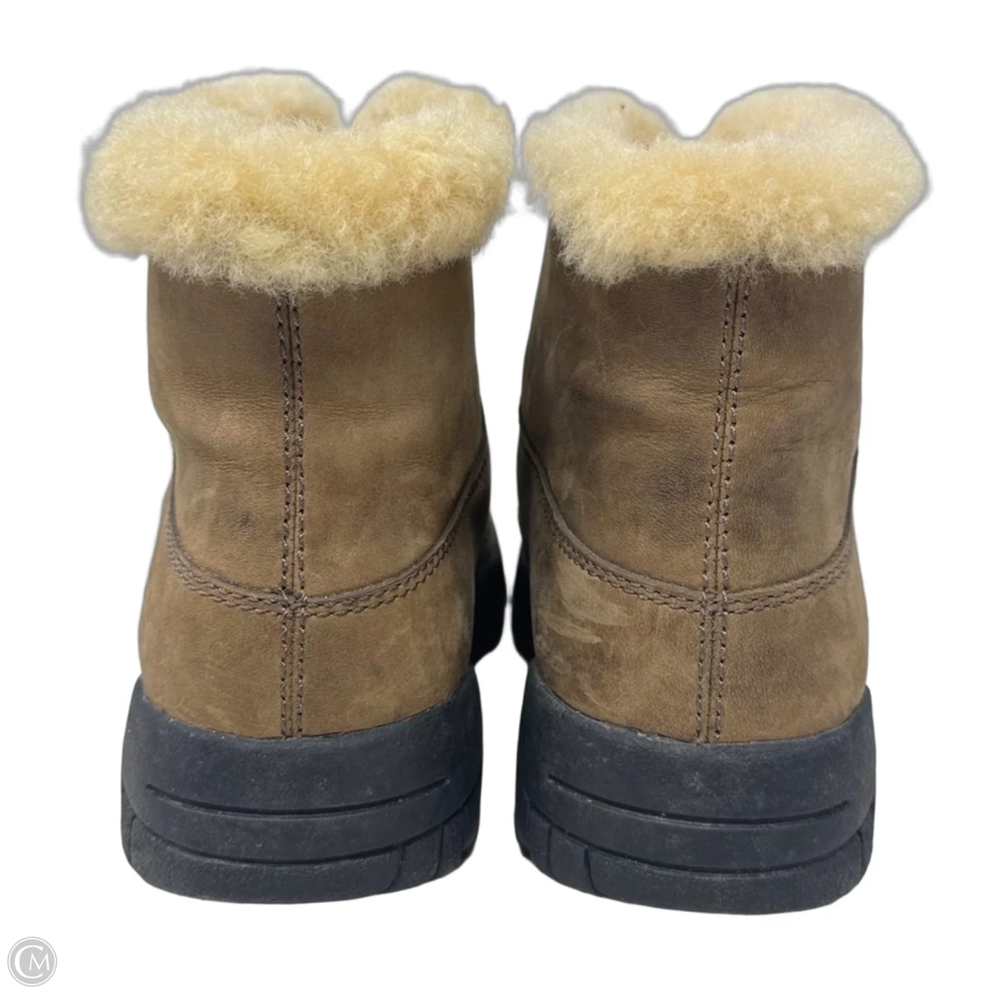 Hapsburg Zip Boots Designer By Ugg In Tan, Size: 8