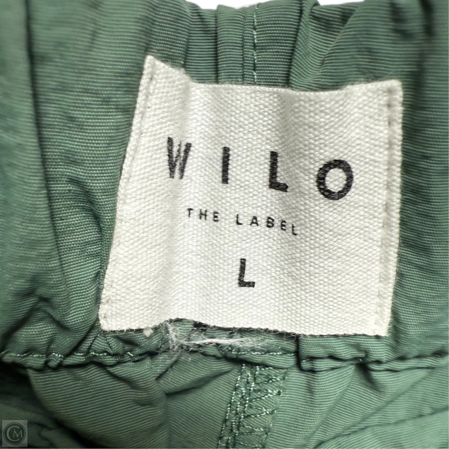 Athletic Pants By Wilo The Label In Green, Size: L