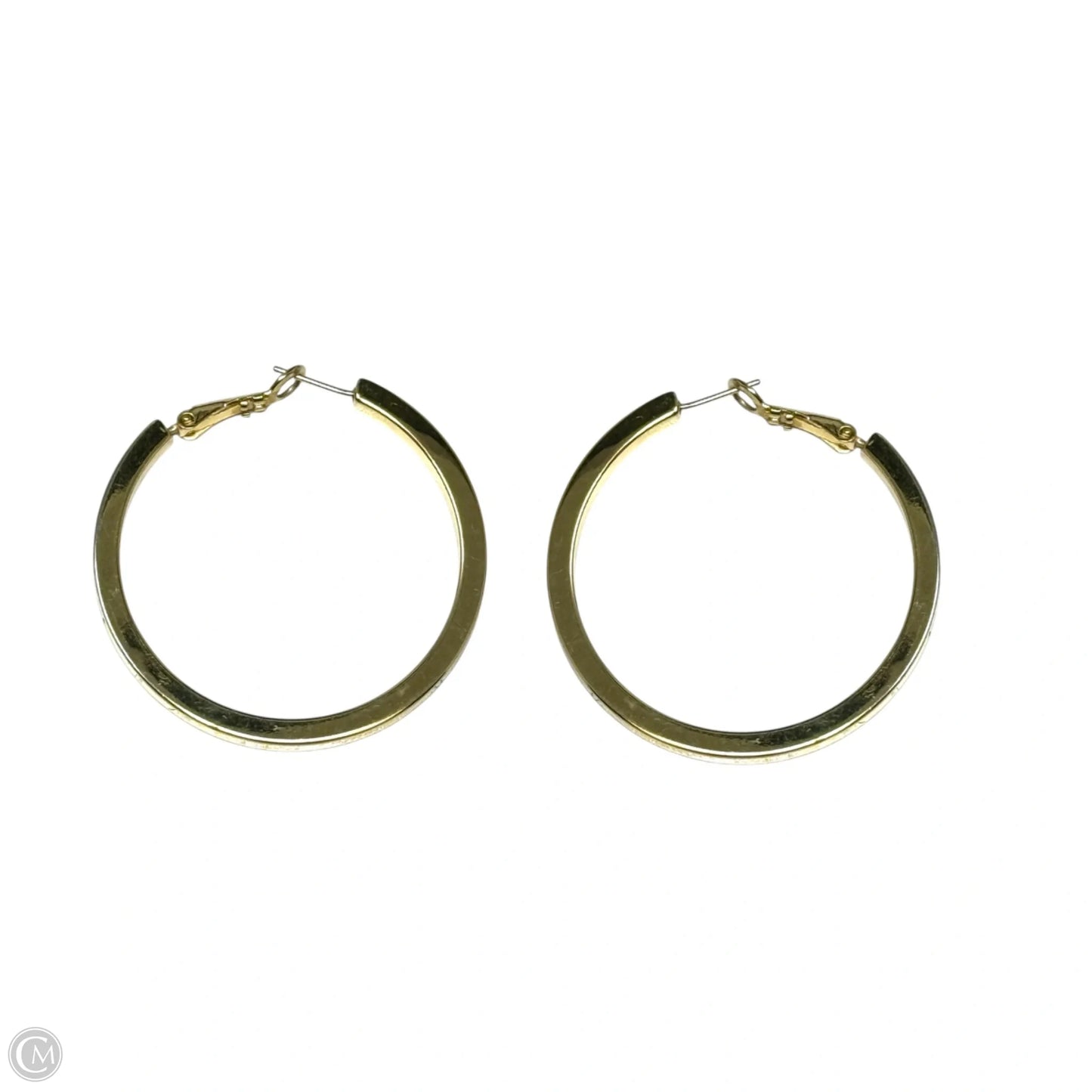 Gold Tone Hoop Earrings