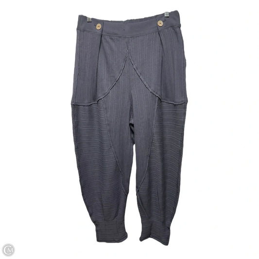 Pants By Free People In Navy, Size: Xs