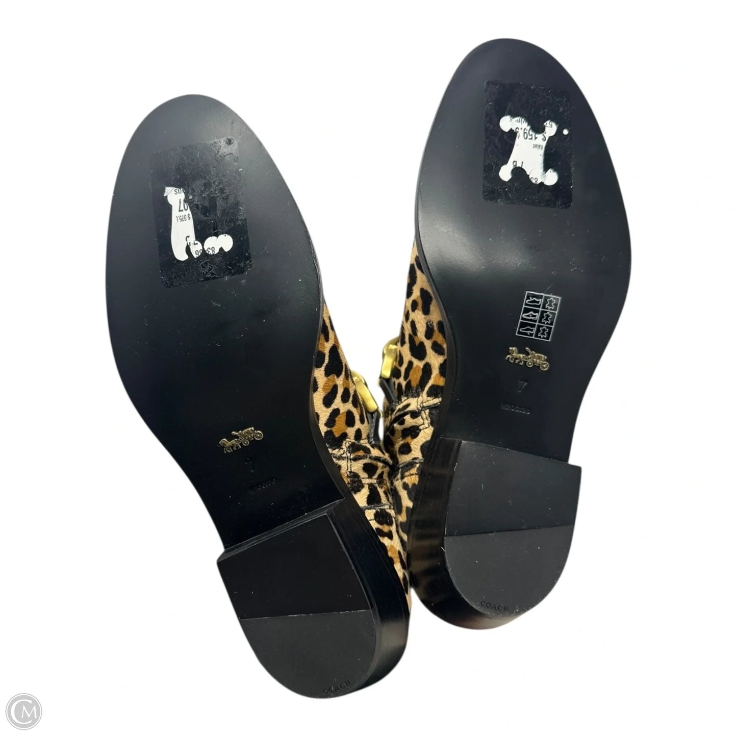 Allen Calfhair Boots Designer By Coach In Animal Print, Size: 7