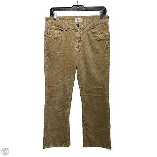 Pants Corduroy By Pilcro In Brown, Size: 12/31