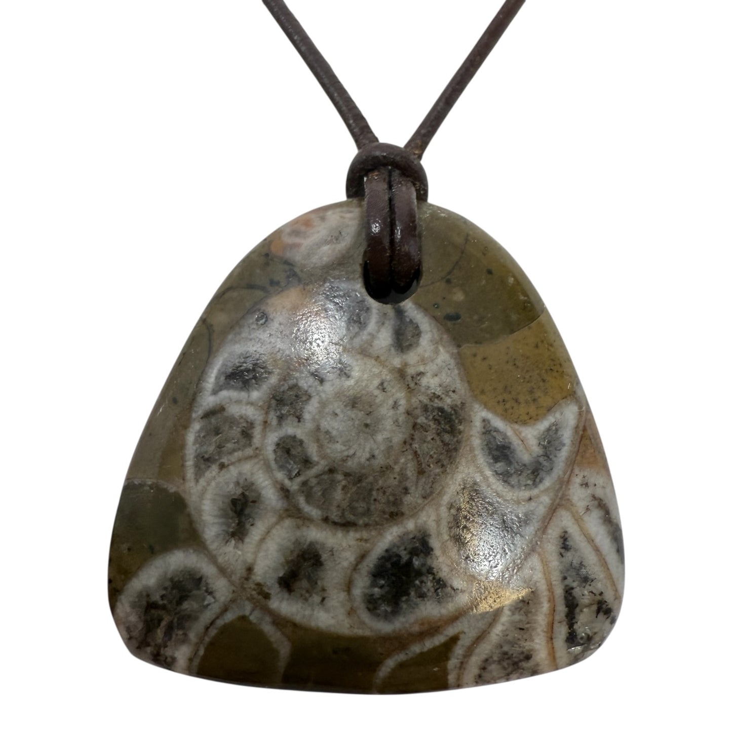 Fossil Pendant Necklace With Sterling Silver Clasp