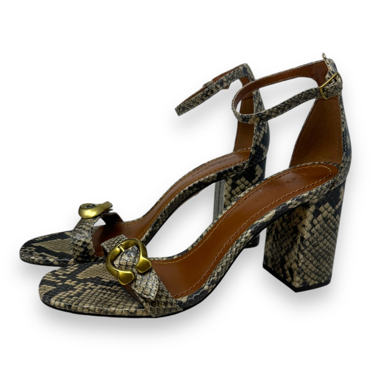 Maya 85 Signature Buckle Sandal Designer By Coach In Snakeskin Print, Size: 10