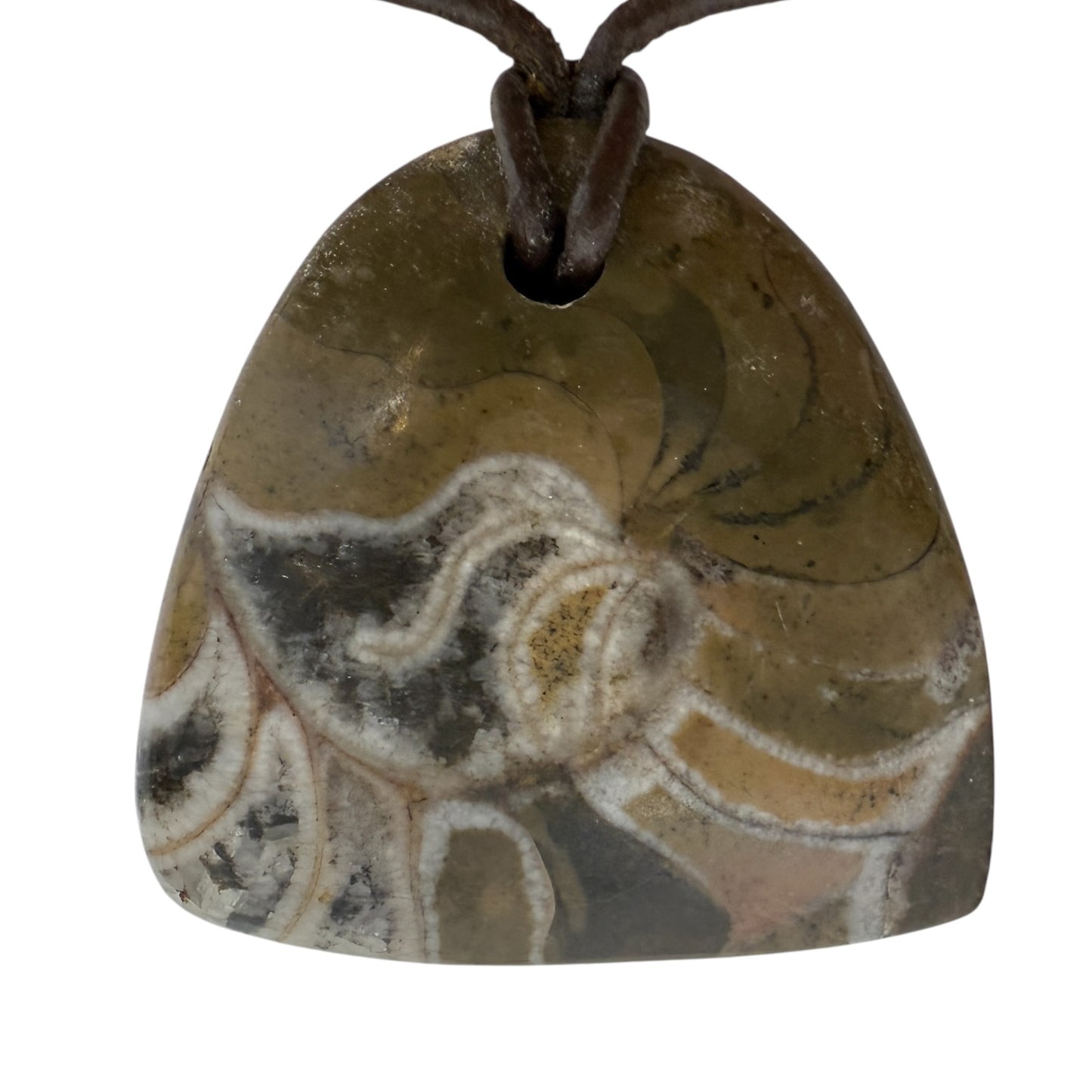 Fossil Pendant Necklace With Sterling Silver Clasp